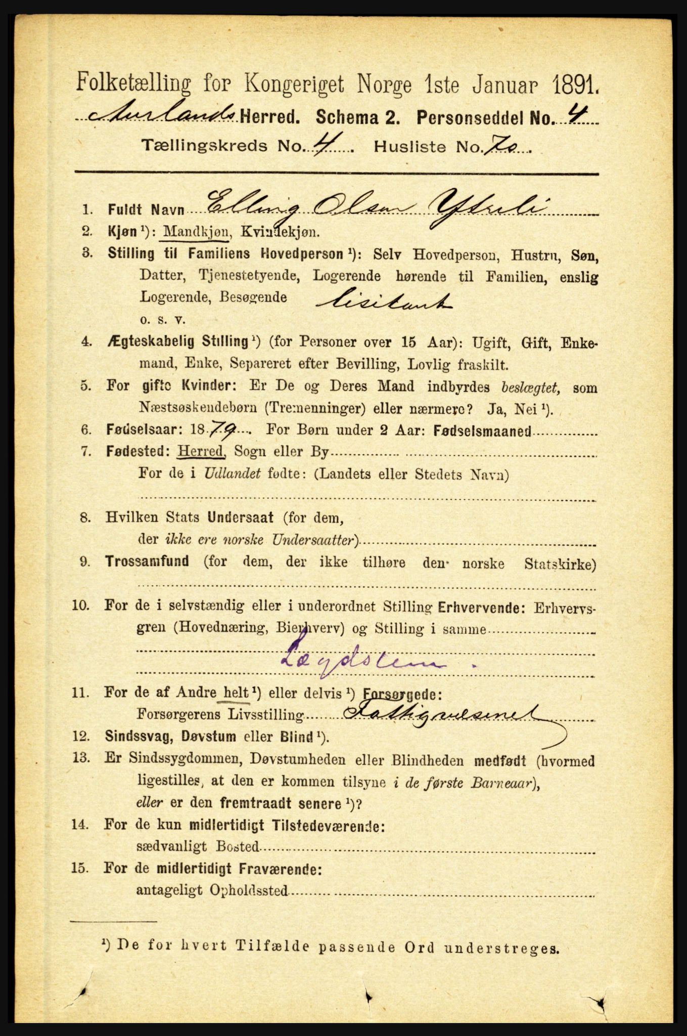 RA, Folketelling 1891 for 1421 Aurland herred, 1891, s. 1699