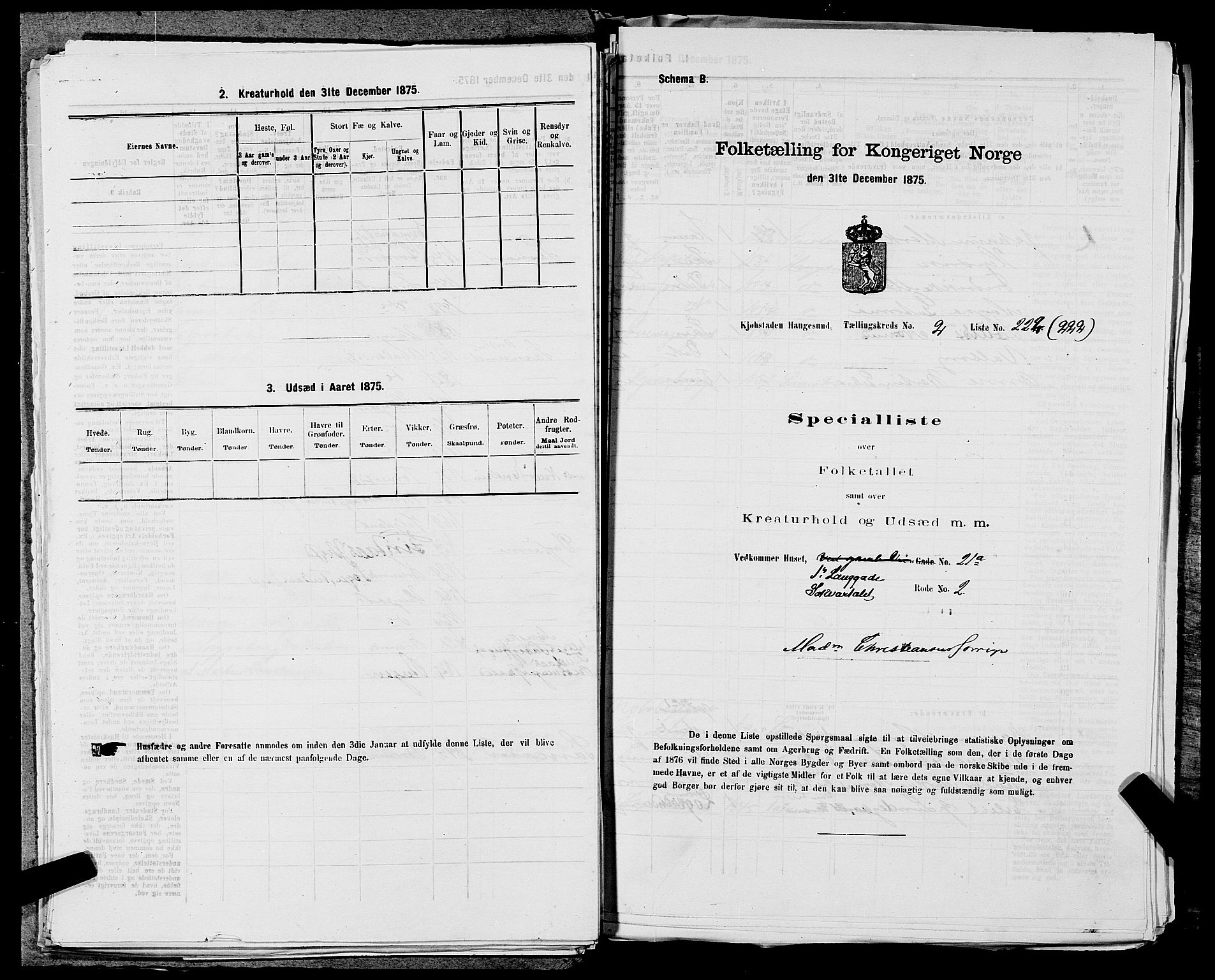 SAST, Folketelling 1875 for 1106B Torvastad prestegjeld, Haugesund kjøpstad, 1875, s. 515