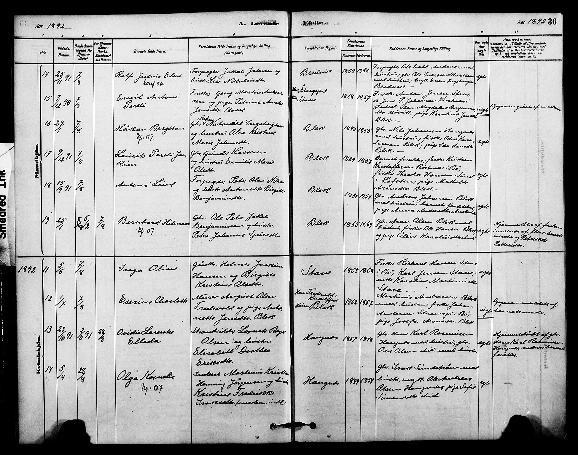 Ministerialprotokoller, klokkerbøker og fødselsregistre - Nordland, AV/SAT-A-1459/899/L1436: Ministerialbok nr. 899A04, 1881-1896, s. 36