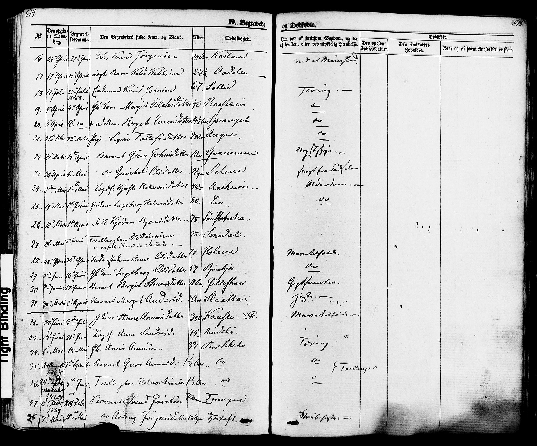 Seljord kirkebøker, AV/SAKO-A-20/F/Fa/L0013: Ministerialbok nr. I 13, 1866-1876, s. 614-615