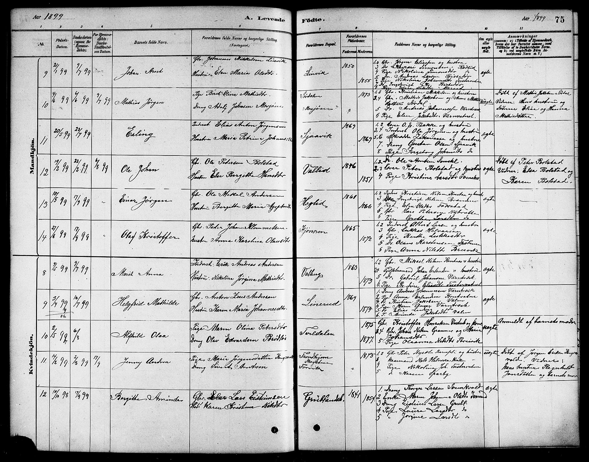 Ministerialprotokoller, klokkerbøker og fødselsregistre - Nordland, AV/SAT-A-1459/823/L0330: Klokkerbok nr. 823C02, 1879-1916, s. 75