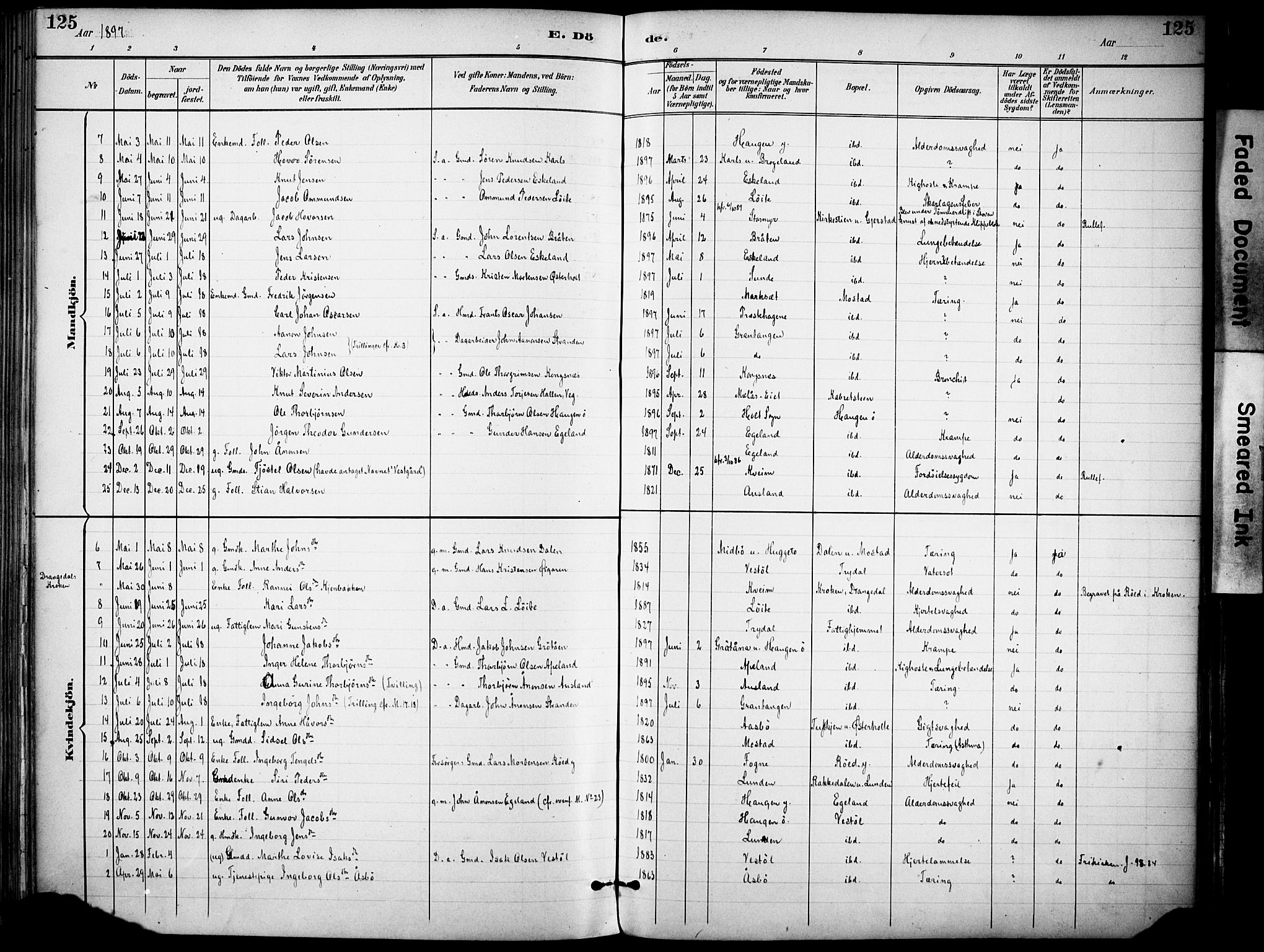 Gjerstad sokneprestkontor, AV/SAK-1111-0014/F/Fa/Faa/L0010: Ministerialbok nr. A 10, 1891-1902, s. 125