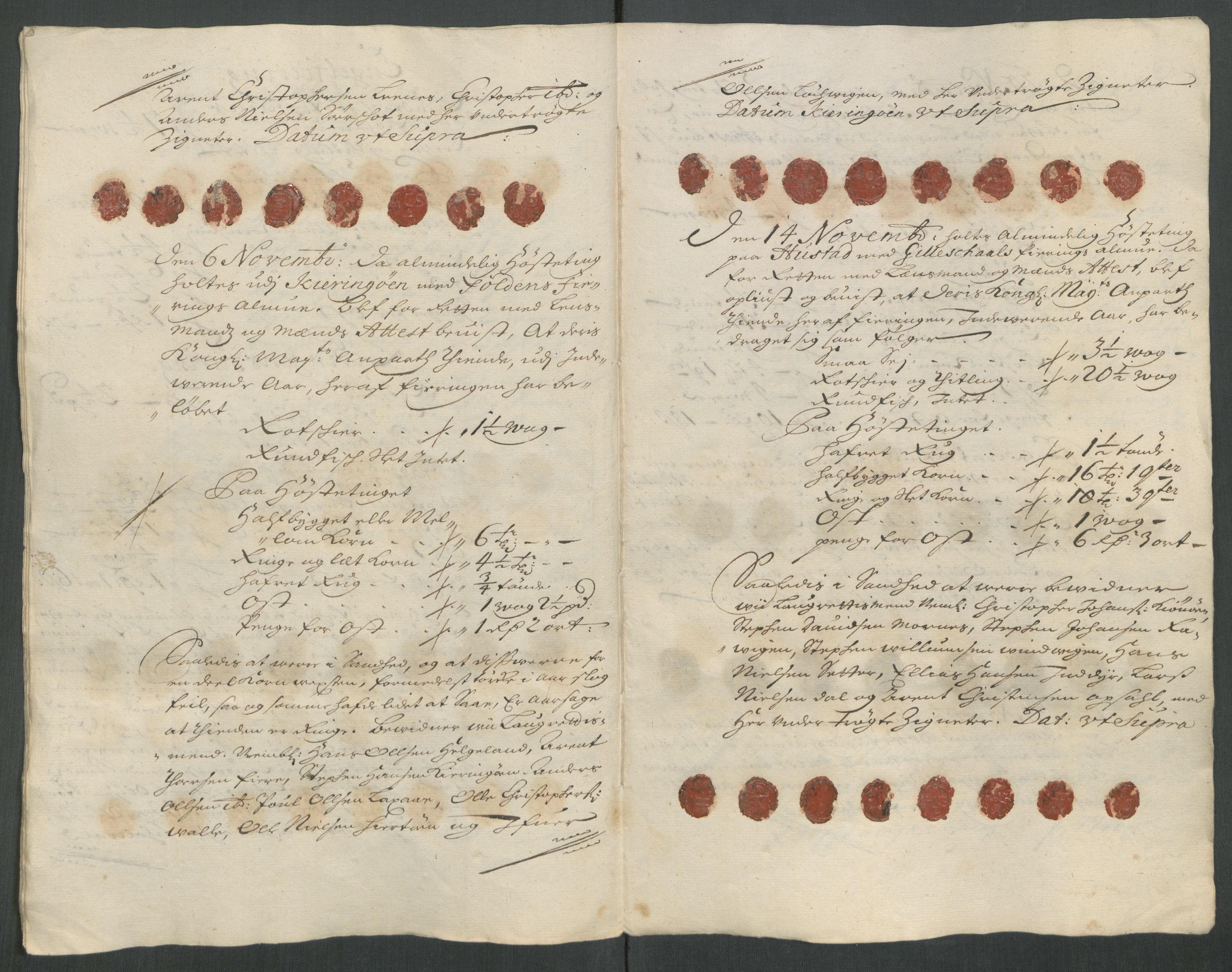 Rentekammeret inntil 1814, Reviderte regnskaper, Fogderegnskap, AV/RA-EA-4092/R66/L4586: Fogderegnskap Salten, 1716, s. 215