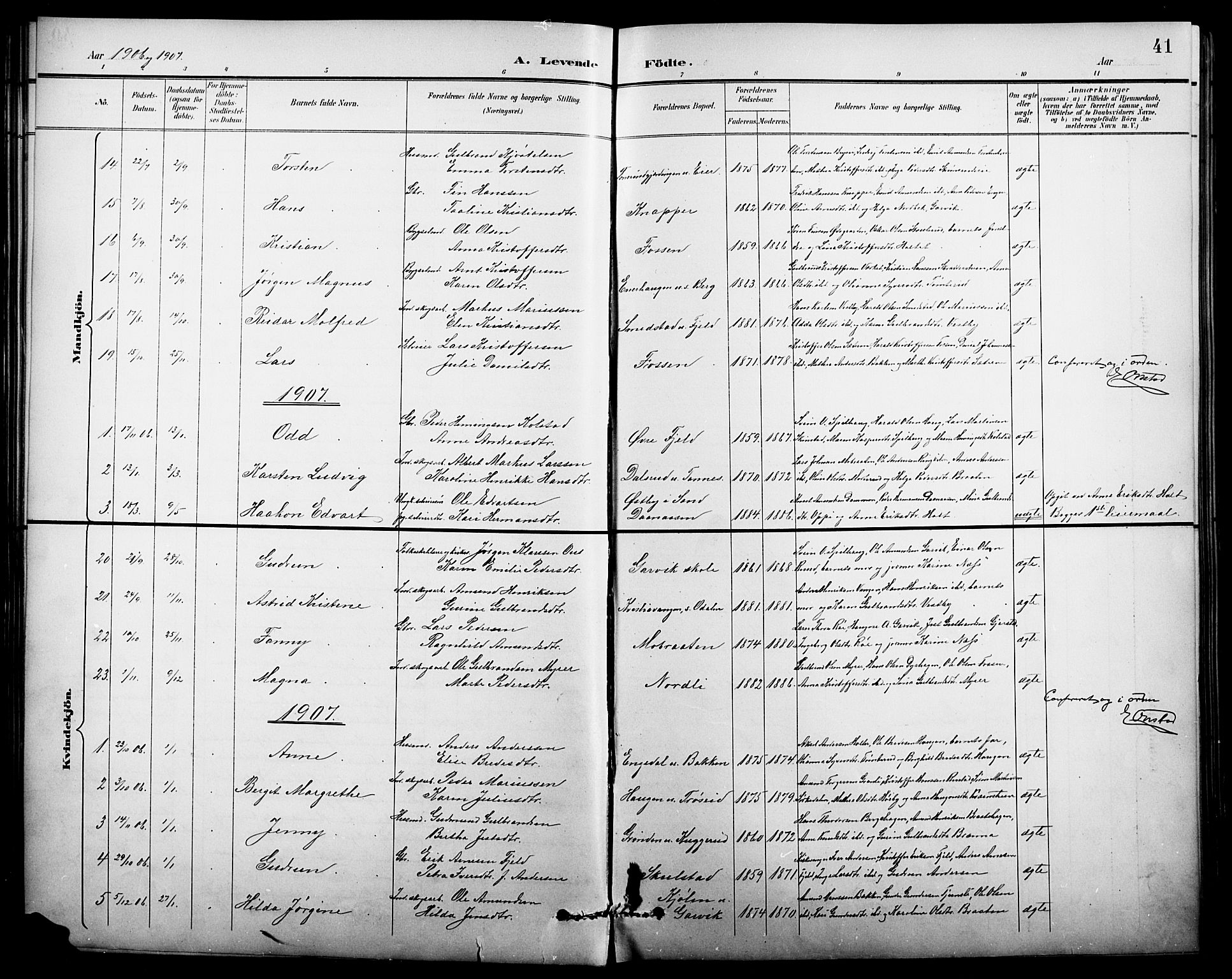 Nord-Odal prestekontor, AV/SAH-PREST-032/H/Ha/Hab/L0002: Klokkerbok nr. 2, 1895-1921, s. 41