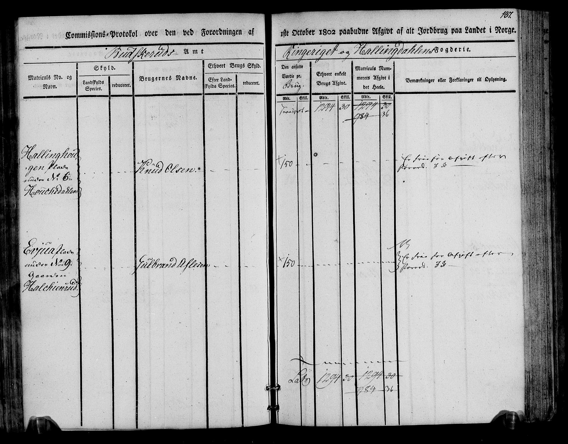 Rentekammeret inntil 1814, Realistisk ordnet avdeling, AV/RA-EA-4070/N/Ne/Nea/L0045: Ringerike og Hallingdal fogderi. Kommisjonsprotokoll for Norderhov prestegjeld, 1803, s. 140