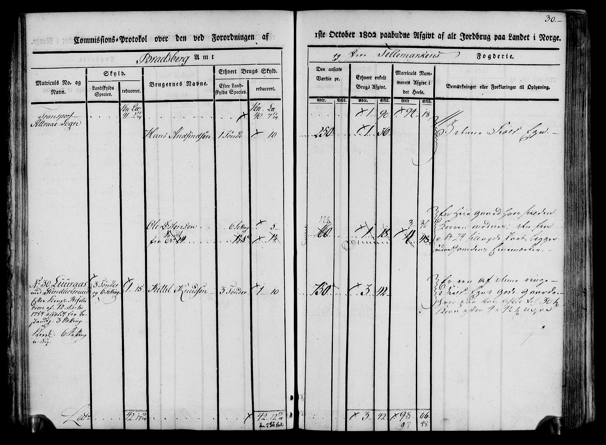 Rentekammeret inntil 1814, Realistisk ordnet avdeling, AV/RA-EA-4070/N/Ne/Nea/L0074: Øvre Telemarken fogderi. Kommisjonsprotokoll for fogderiets østre del - Tinn, Hjartdal og Seljord prestegjeld., 1803, s. 30
