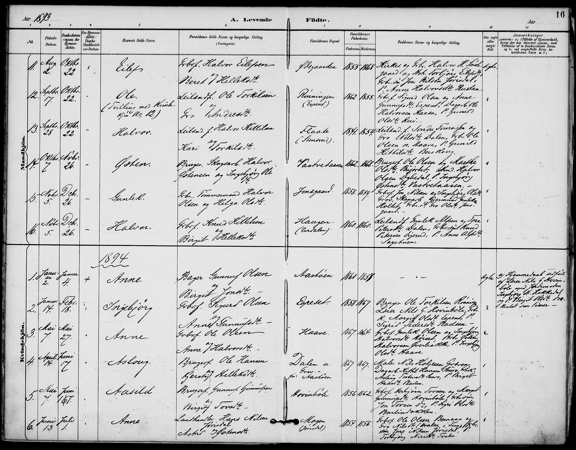 Gransherad kirkebøker, AV/SAKO-A-267/F/Fb/L0005: Ministerialbok nr. II 5, 1887-1916, s. 16