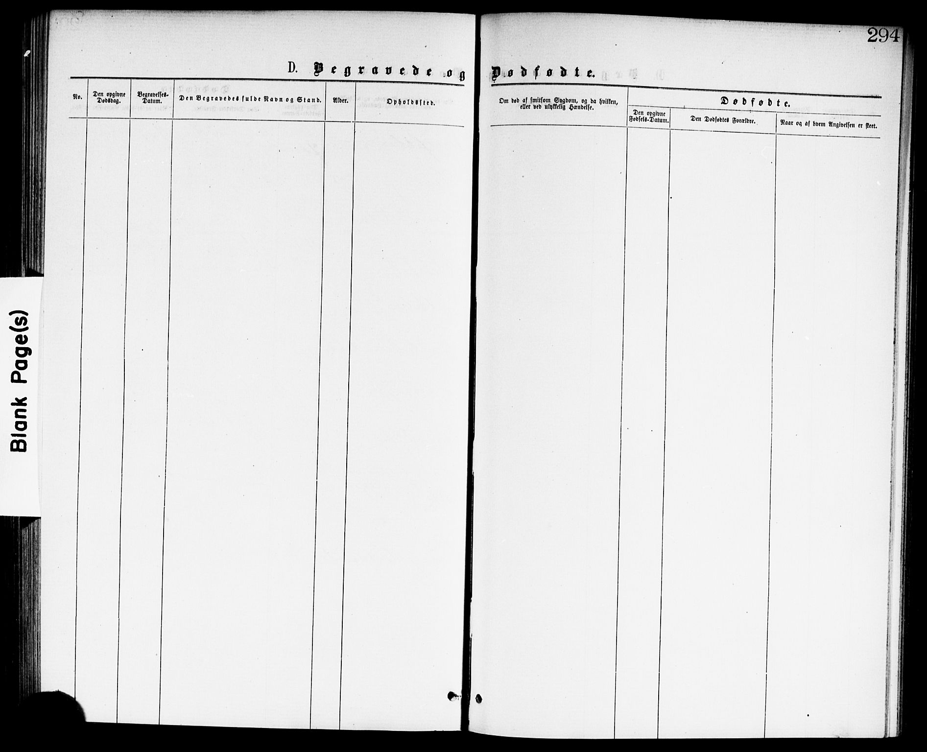 Skedsmo prestekontor Kirkebøker, AV/SAO-A-10033a/G/Ga/L0003: Klokkerbok nr. I 3, 1873-1882, s. 294