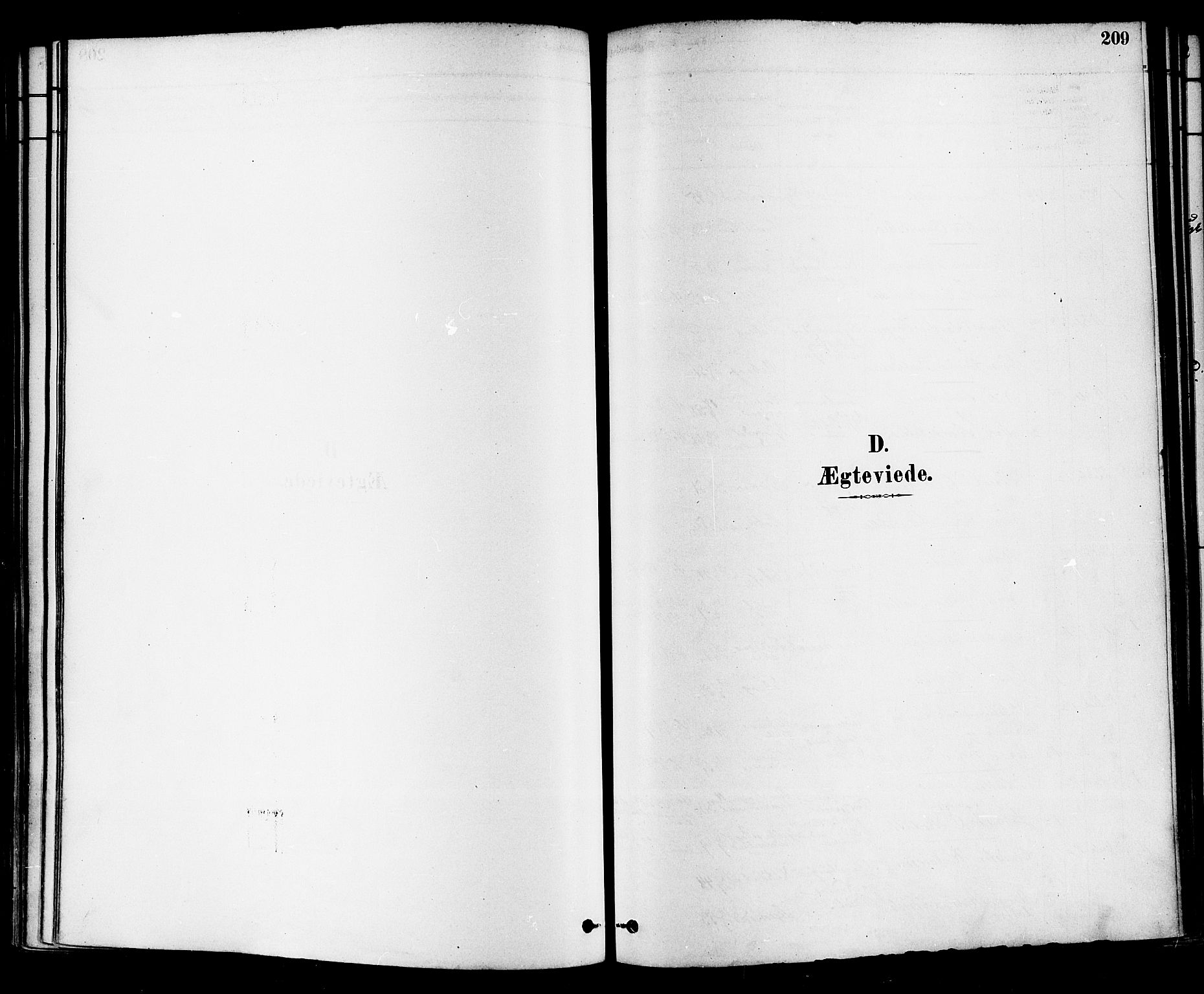 Sande Kirkebøker, SAKO/A-53/F/Fa/L0006: Ministerialbok nr. 6, 1878-1888, s. 209