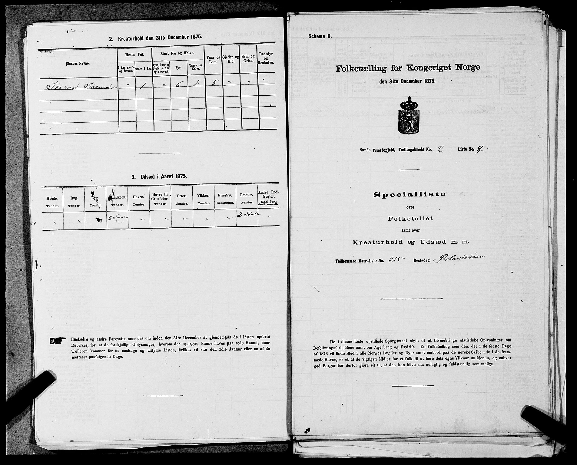 SAST, Folketelling 1875 for 1136P Sand prestegjeld, 1875, s. 158