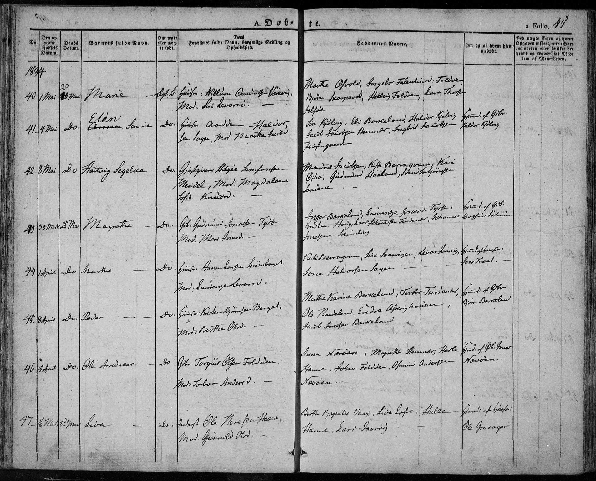 Jelsa sokneprestkontor, AV/SAST-A-101842/01/IV: Ministerialbok nr. A 6.1, 1828-1853, s. 45