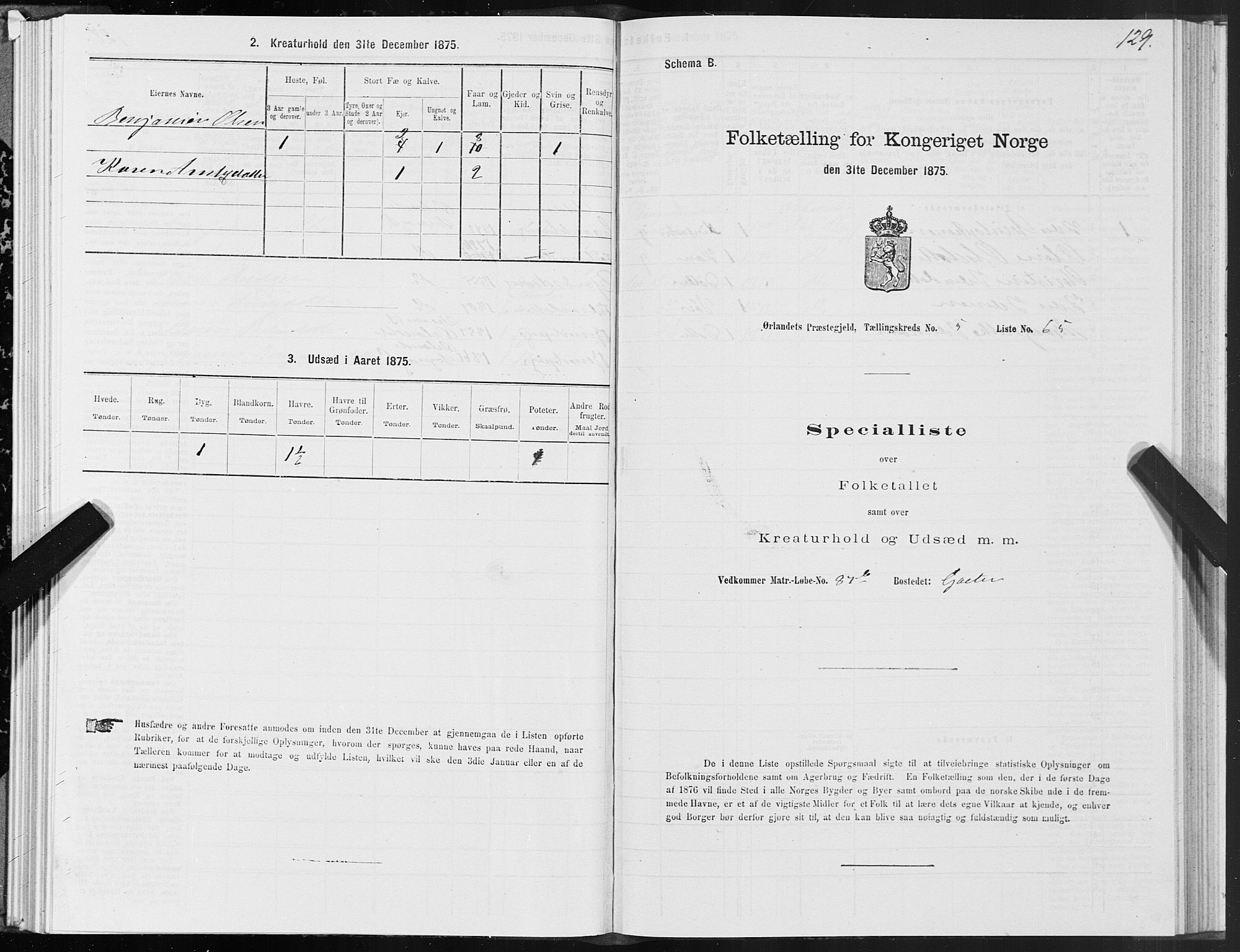 SAT, Folketelling 1875 for 1621P Ørland prestegjeld, 1875, s. 3129