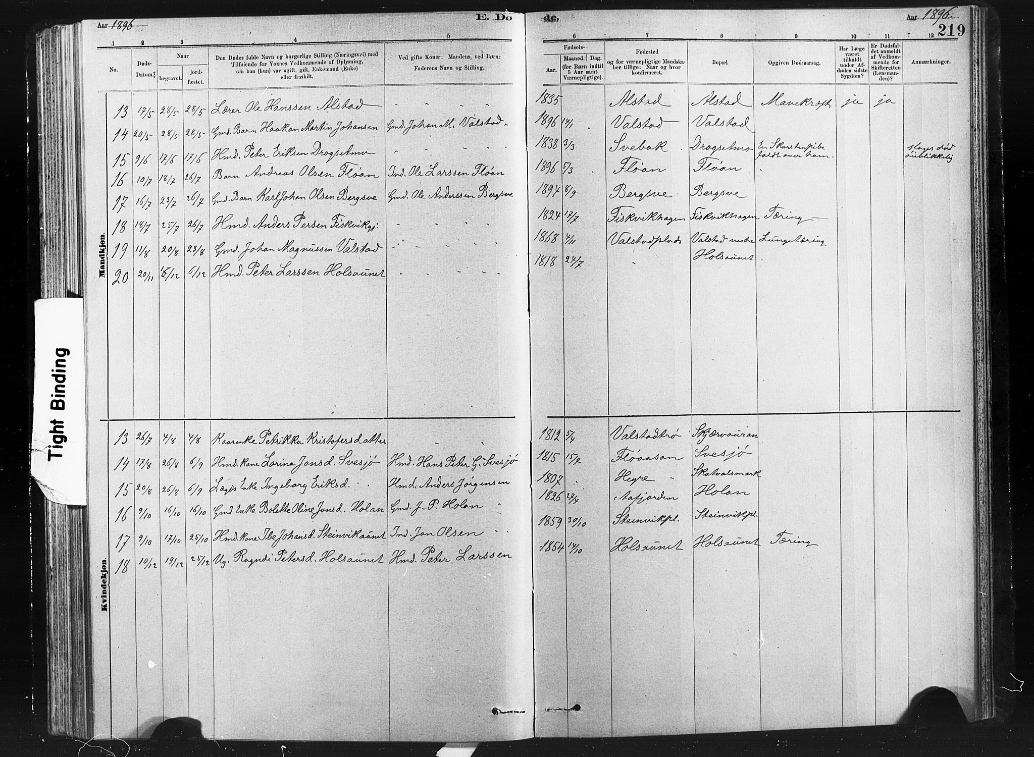 Ministerialprotokoller, klokkerbøker og fødselsregistre - Nord-Trøndelag, SAT/A-1458/712/L0103: Klokkerbok nr. 712C01, 1878-1917, s. 219
