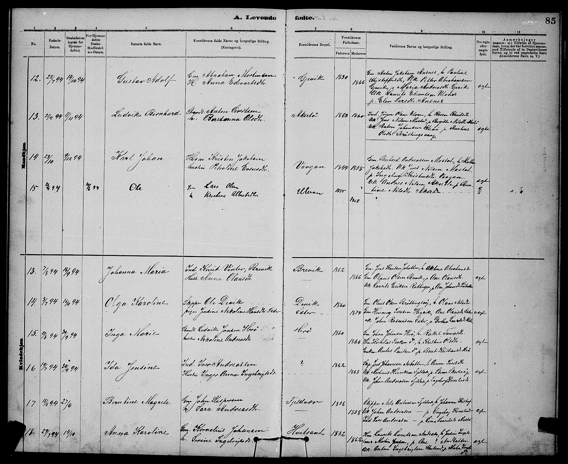 Ministerialprotokoller, klokkerbøker og fødselsregistre - Sør-Trøndelag, SAT/A-1456/637/L0562: Klokkerbok nr. 637C03, 1883-1898, s. 85