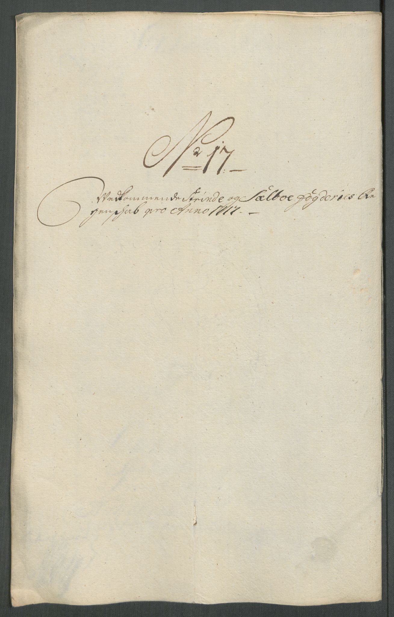 Rentekammeret inntil 1814, Reviderte regnskaper, Fogderegnskap, RA/EA-4092/R61/L4116: Fogderegnskap Strinda og Selbu, 1717-1718, s. 157