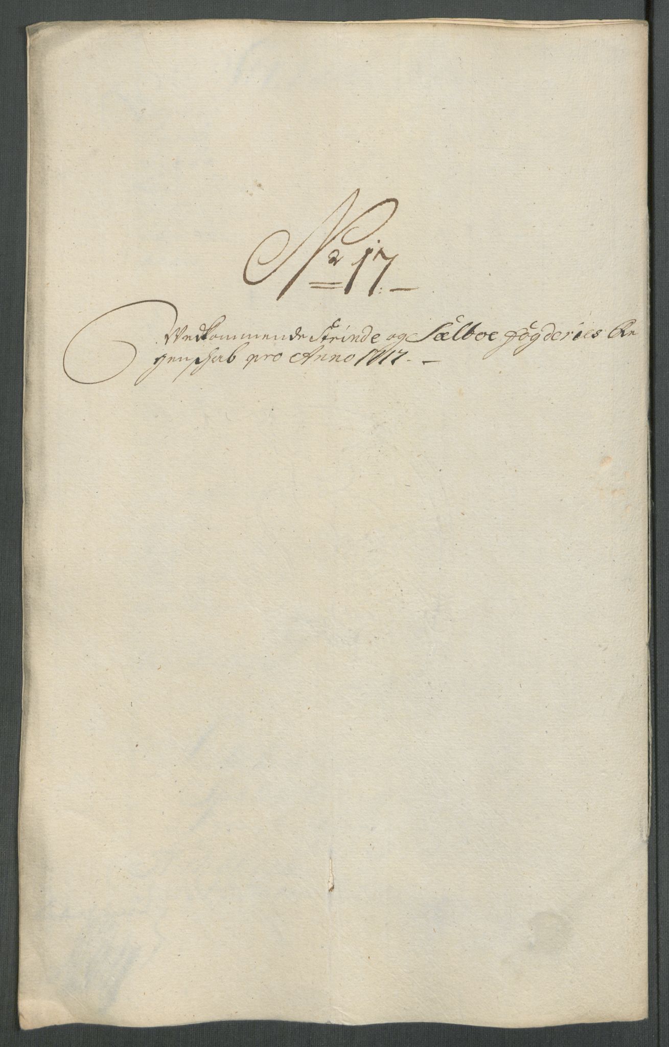 Rentekammeret inntil 1814, Reviderte regnskaper, Fogderegnskap, AV/RA-EA-4092/R61/L4116: Fogderegnskap Strinda og Selbu, 1717-1718, s. 157