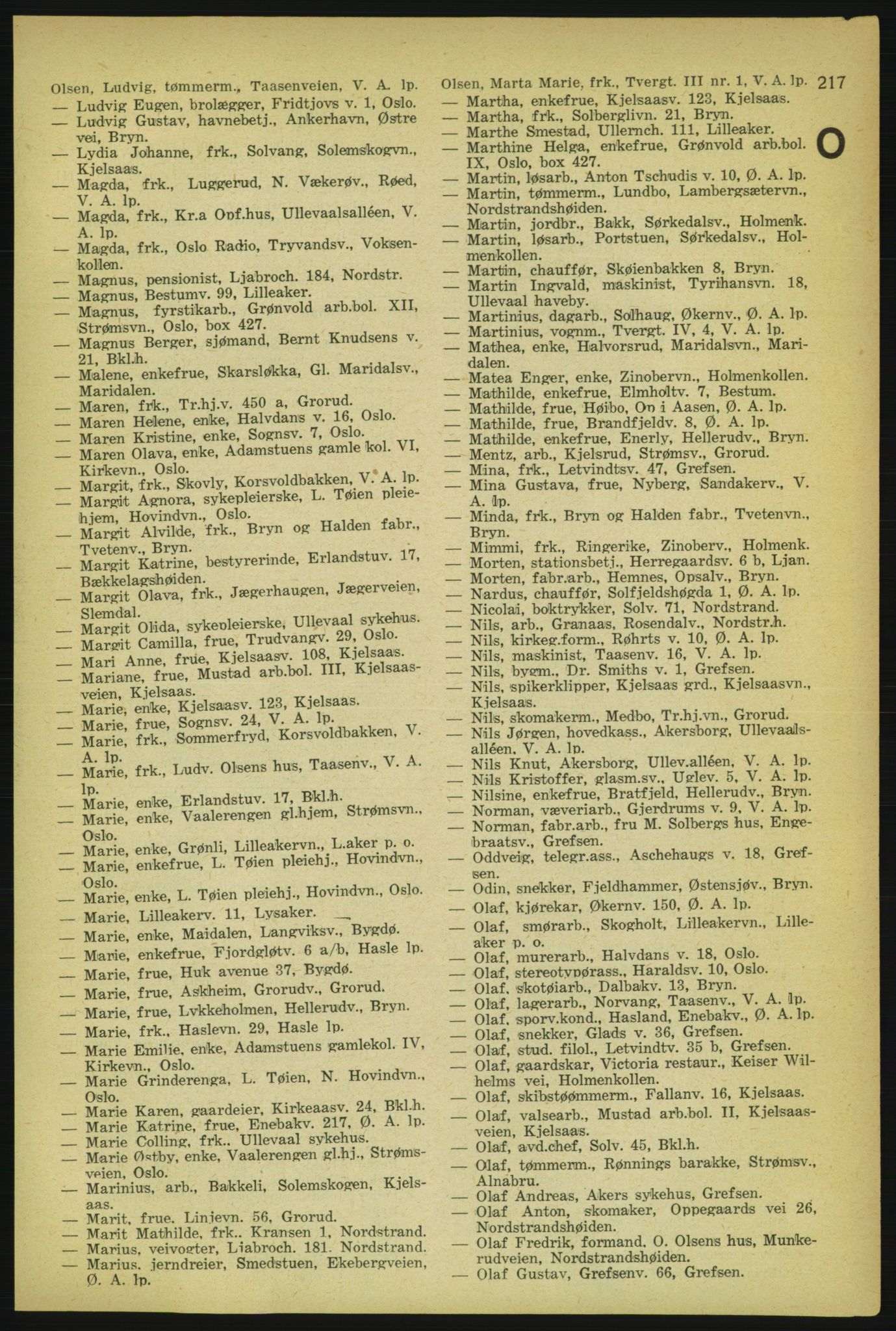 Aker adressebok/adressekalender, PUBL/001/A/004: Aker adressebok, 1929, s. 217