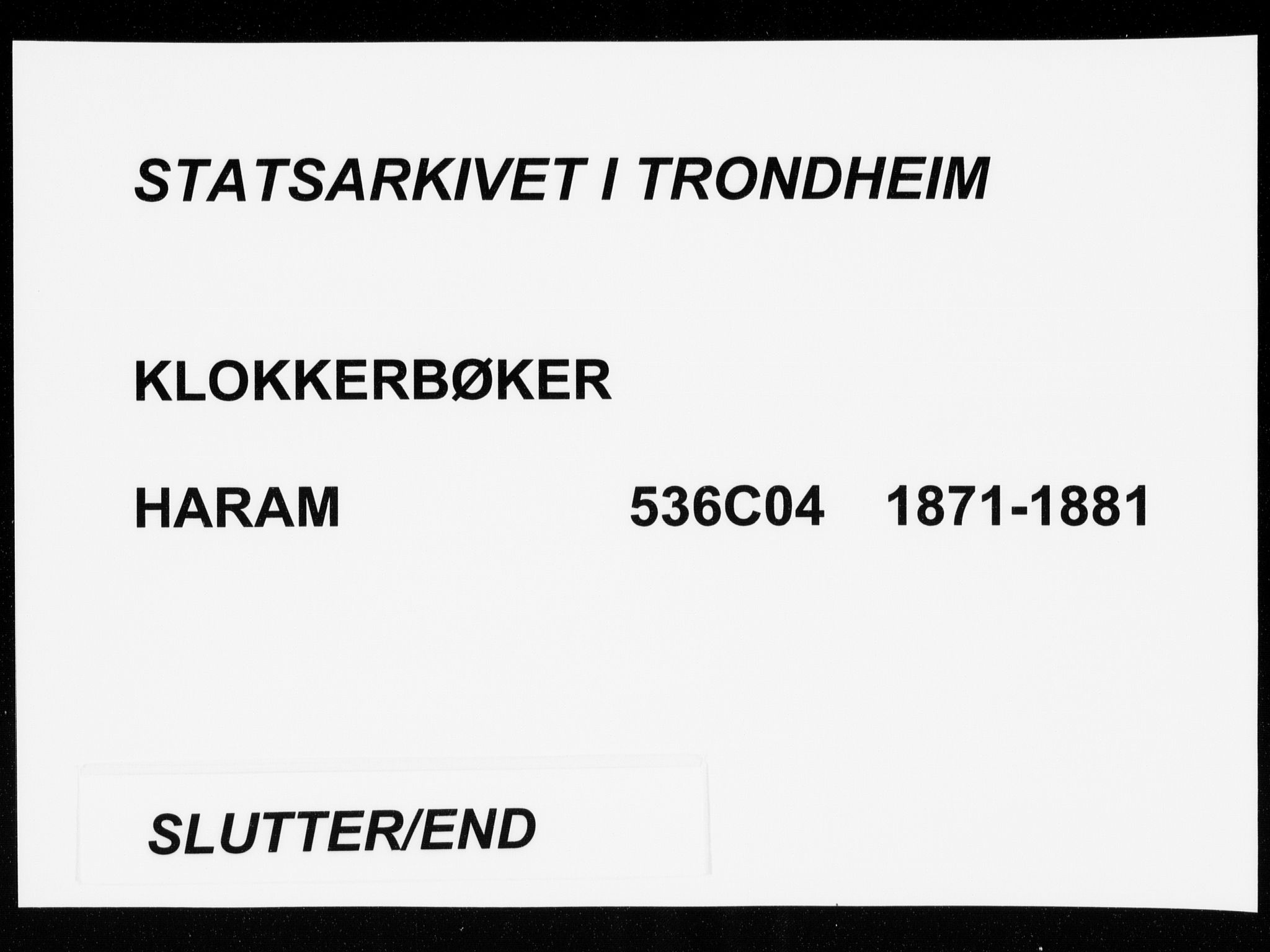 Ministerialprotokoller, klokkerbøker og fødselsregistre - Møre og Romsdal, AV/SAT-A-1454/536/L0509: Klokkerbok nr. 536C04, 1871-1881