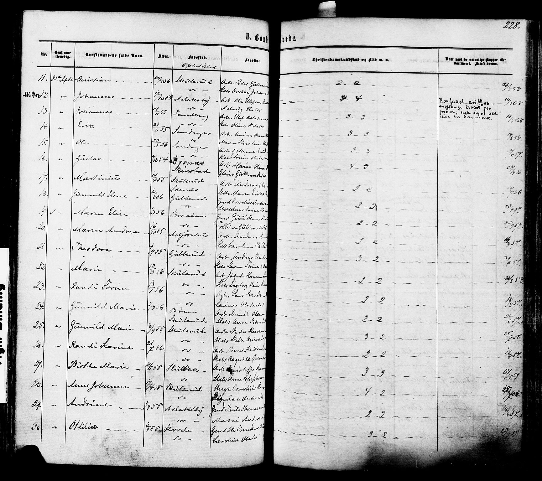 Modum kirkebøker, AV/SAKO-A-234/F/Fa/L0010: Ministerialbok nr. 10, 1865-1876, s. 228