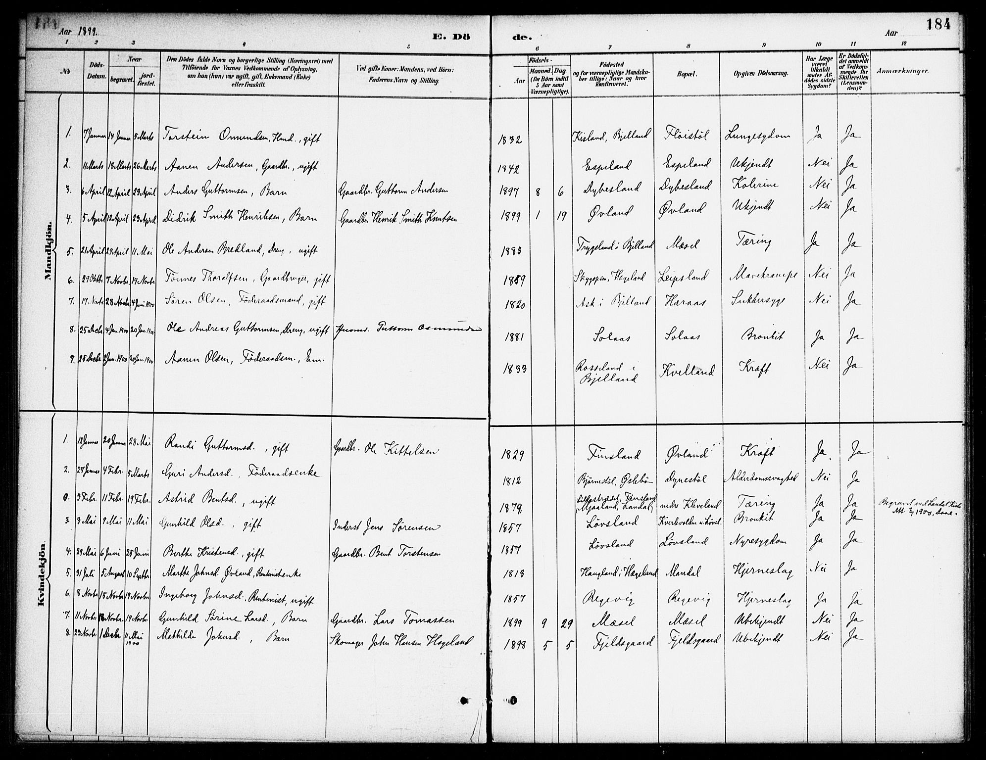 Bjelland sokneprestkontor, SAK/1111-0005/F/Fa/Fab/L0004: Ministerialbok nr. A 4, 1887-1920, s. 184