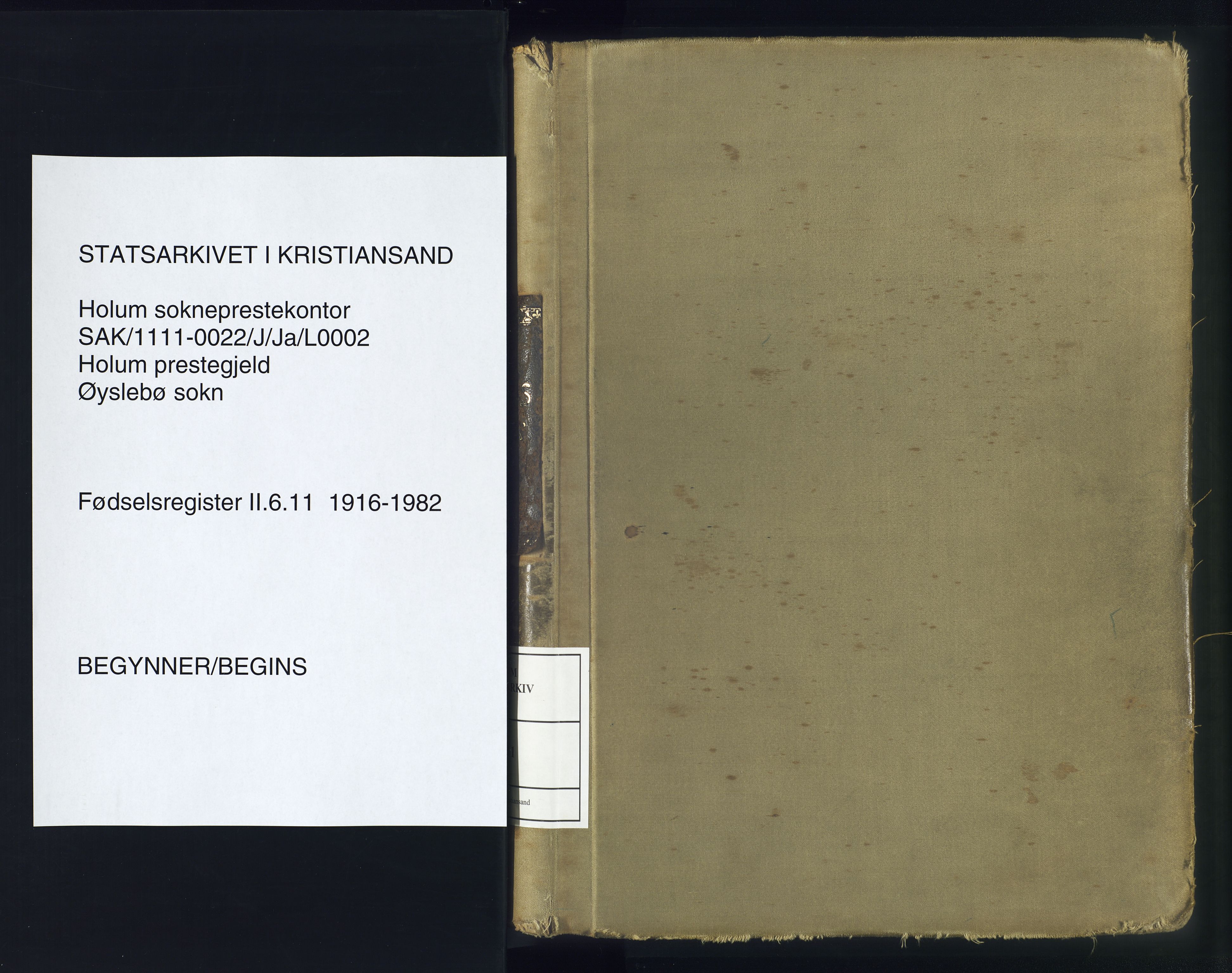 Holum sokneprestkontor, SAK/1111-0022/J/Ja/L0002: Fødselsregister nr. II.6.11, 1916-1982
