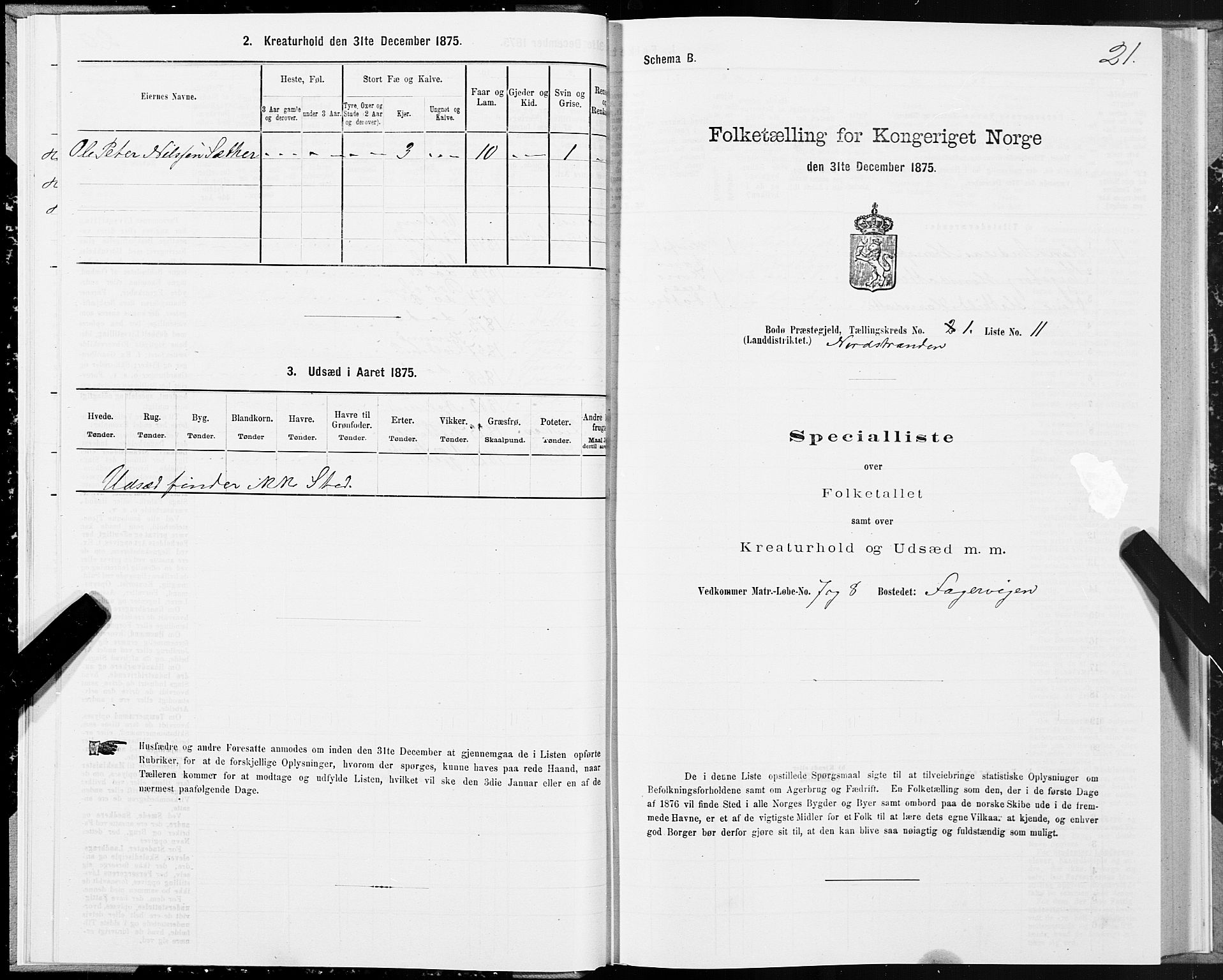 SAT, Folketelling 1875 for 1843L Bodø prestegjeld, Bodø landsokn, 1875, s. 1021