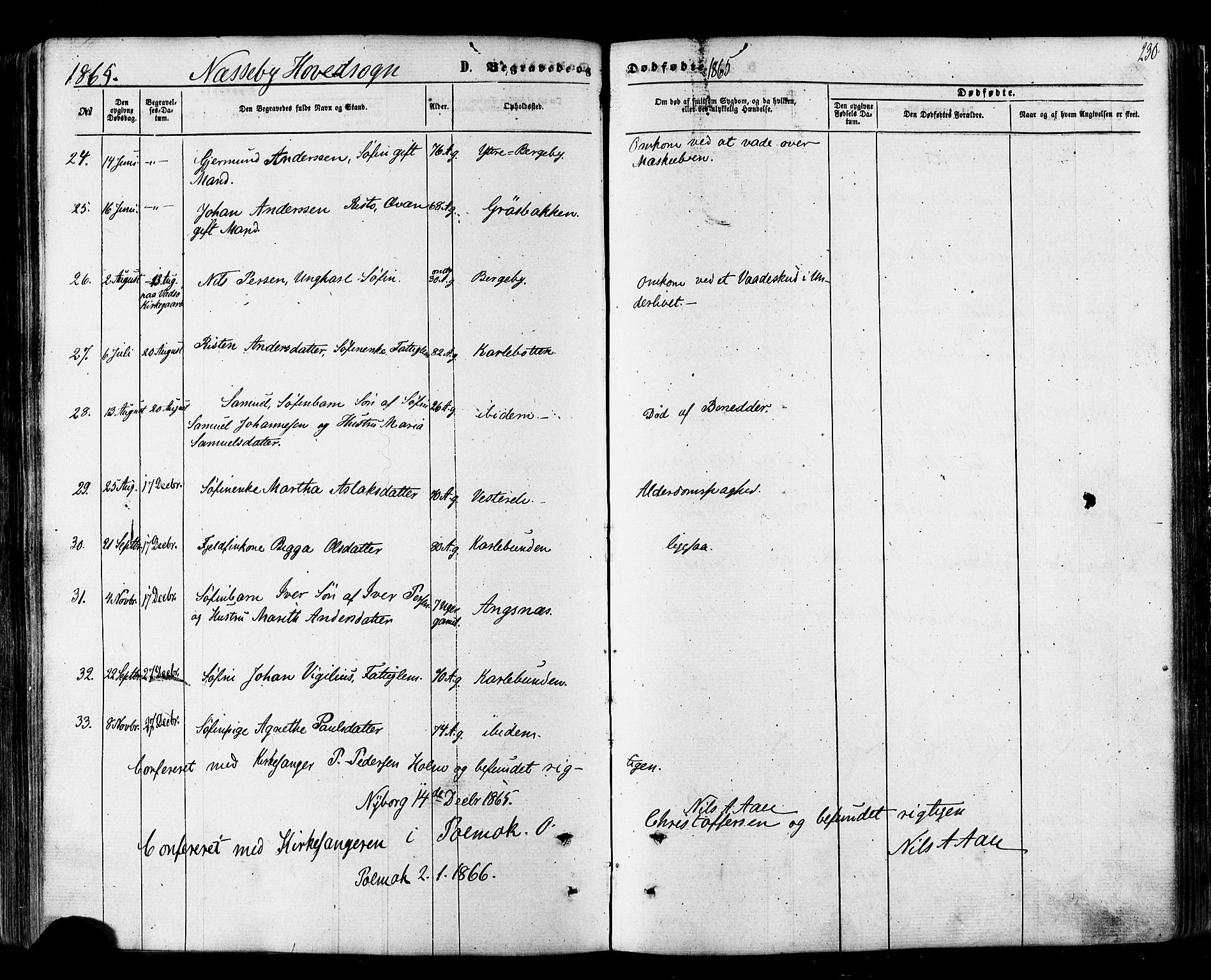Nesseby sokneprestkontor, SATØ/S-1330/H/Ha/L0003kirke: Ministerialbok nr. 3 /1, 1865-1876, s. 230