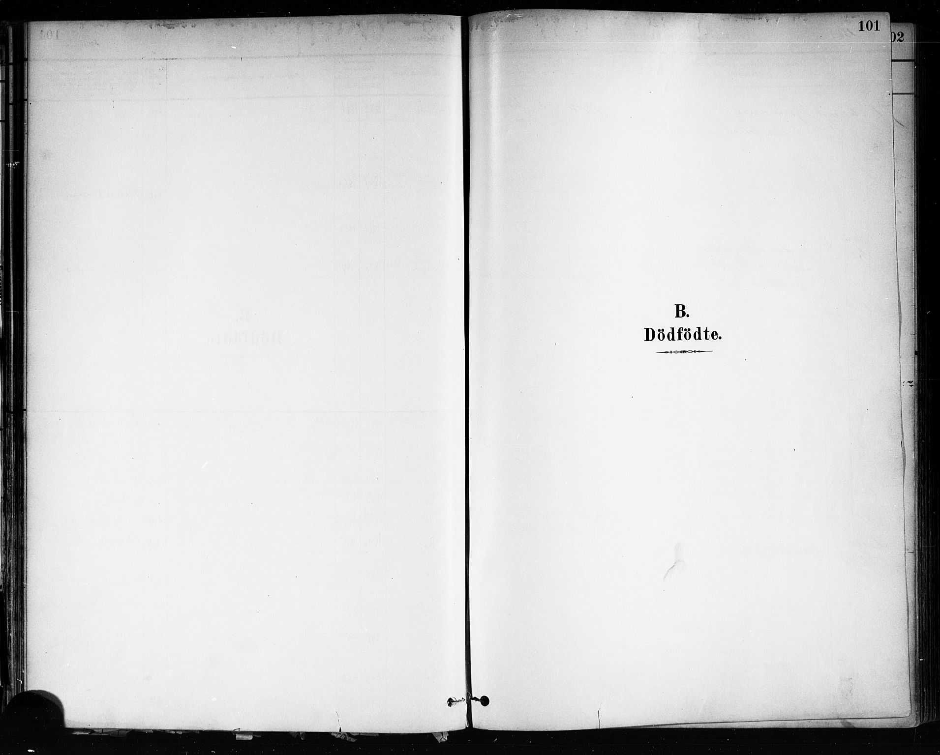 Brevik kirkebøker, AV/SAKO-A-255/F/Fa/L0007: Ministerialbok nr. 7, 1882-1900, s. 101