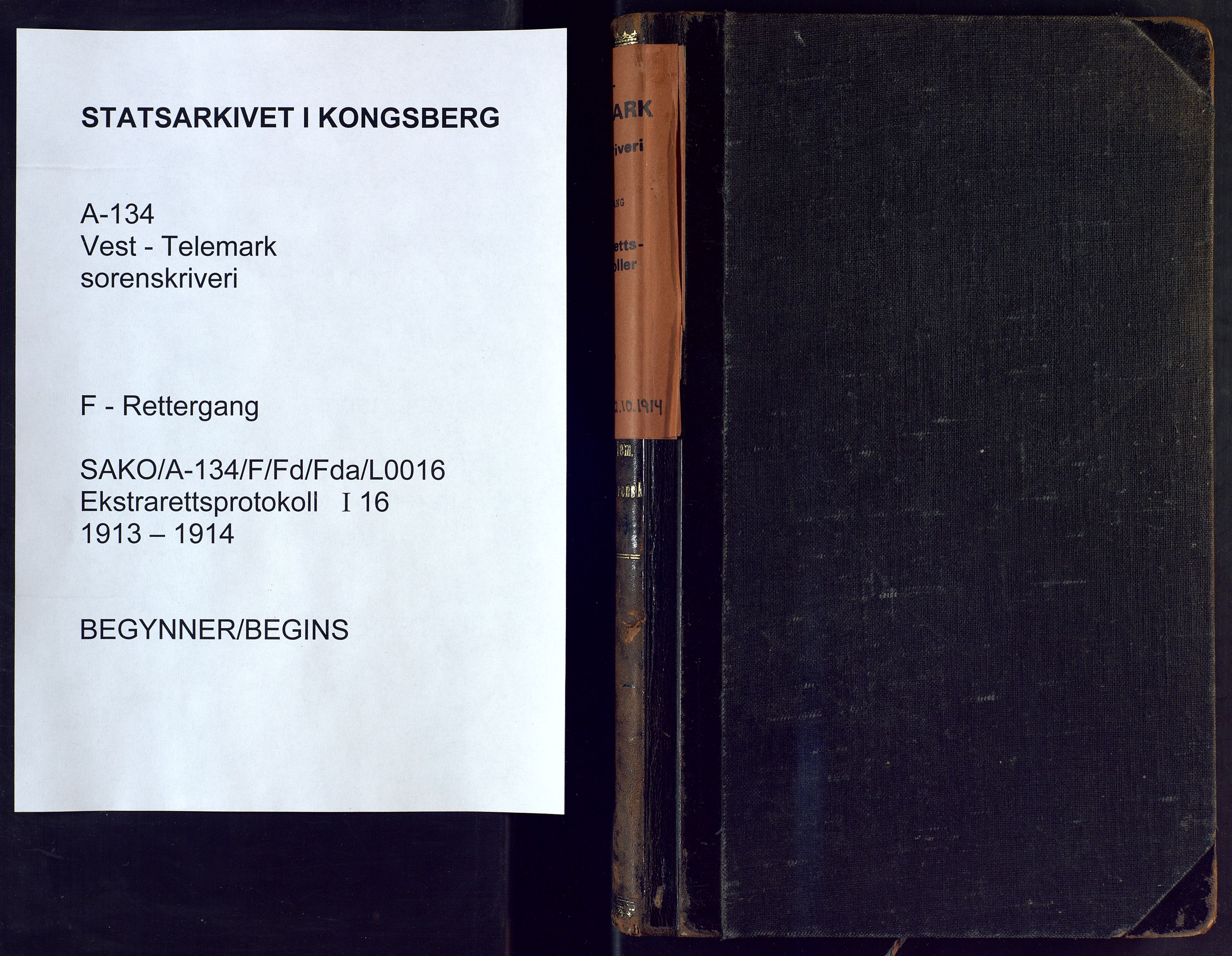 Vest-Telemark sorenskriveri, AV/SAKO-A-134/F/Fd/Fda/L0016: Ekstrarettsprotokoll, 1913-1914