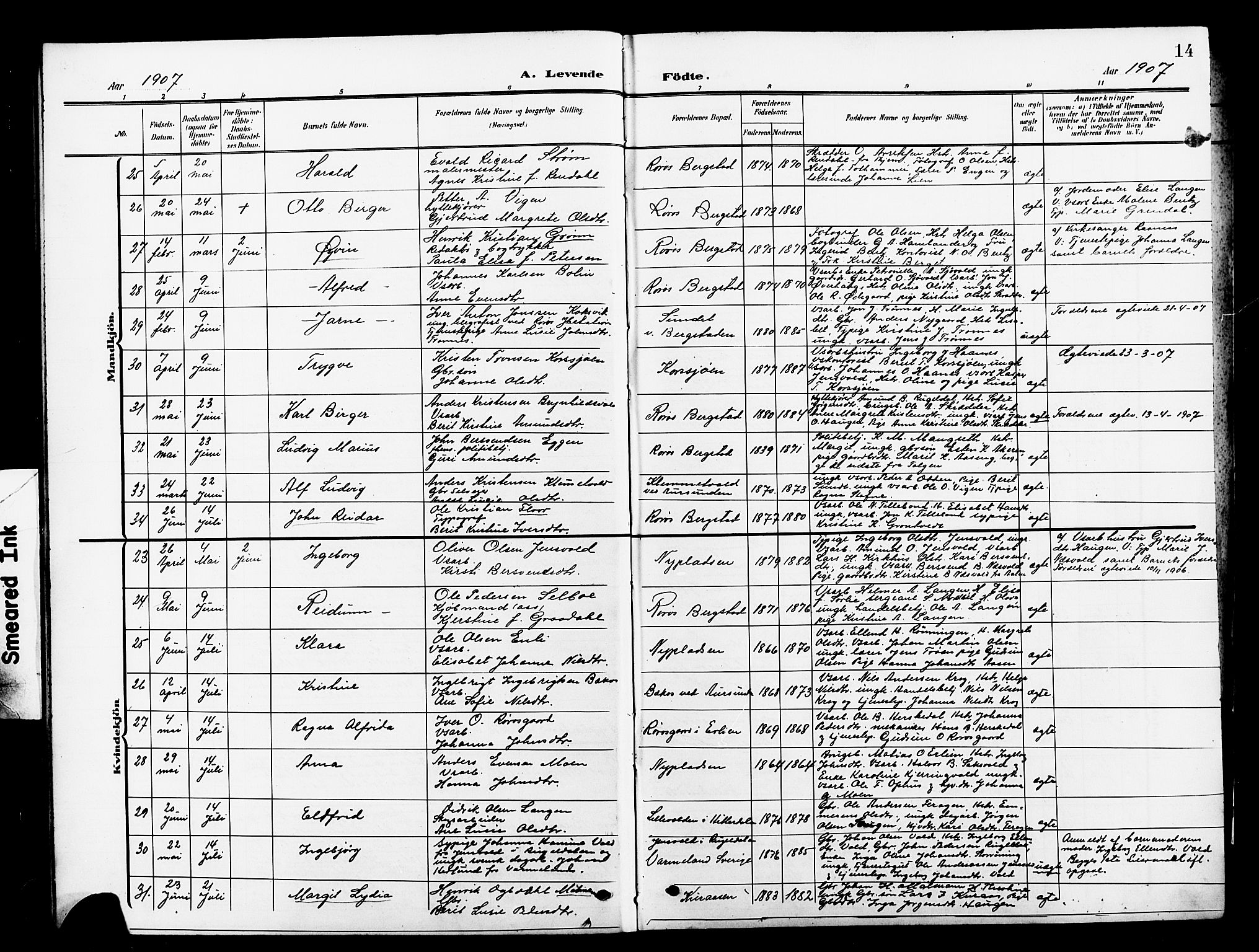 Ministerialprotokoller, klokkerbøker og fødselsregistre - Sør-Trøndelag, AV/SAT-A-1456/681/L0942: Klokkerbok nr. 681C06, 1906-1925, s. 14