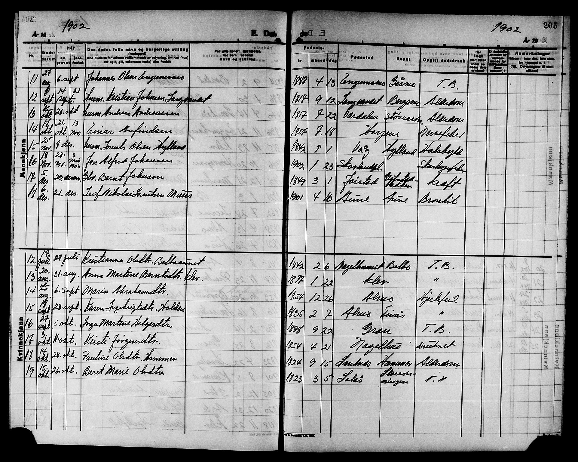 Ministerialprotokoller, klokkerbøker og fødselsregistre - Nord-Trøndelag, SAT/A-1458/749/L0487: Ministerialbok nr. 749D03, 1887-1902, s. 205