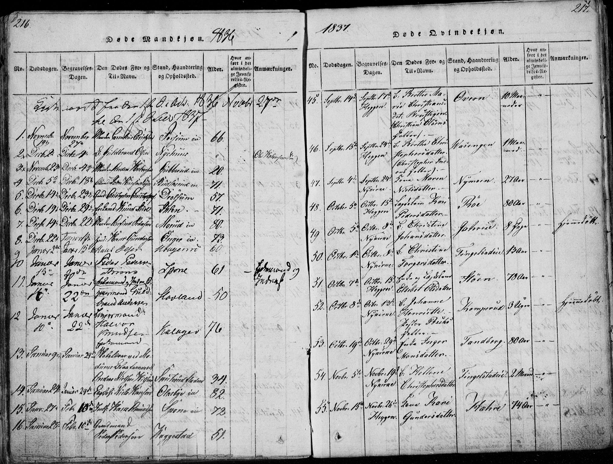 Modum kirkebøker, AV/SAKO-A-234/F/Fa/L0006: Ministerialbok nr. 6, 1832-1841, s. 216-217