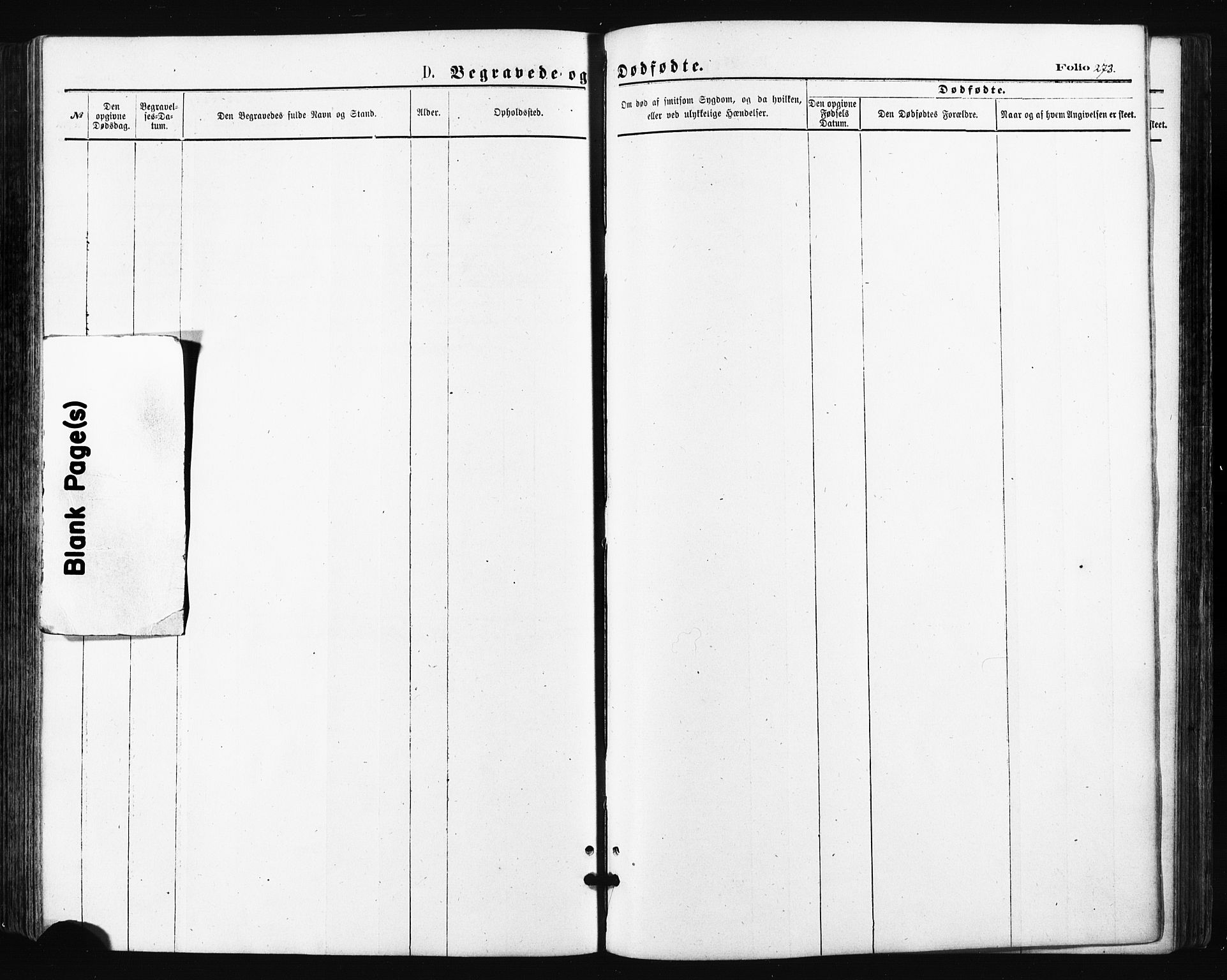 Trondenes sokneprestkontor, SATØ/S-1319/H/Ha/L0013kirke: Ministerialbok nr. 13, 1870-1878, s. 273