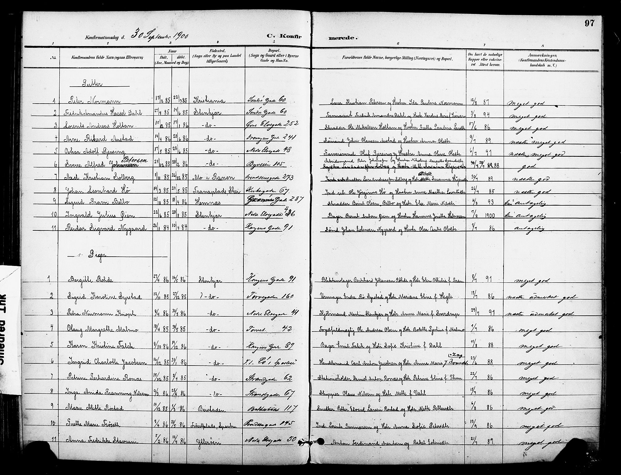 Ministerialprotokoller, klokkerbøker og fødselsregistre - Nord-Trøndelag, AV/SAT-A-1458/739/L0372: Ministerialbok nr. 739A04, 1895-1903, s. 97
