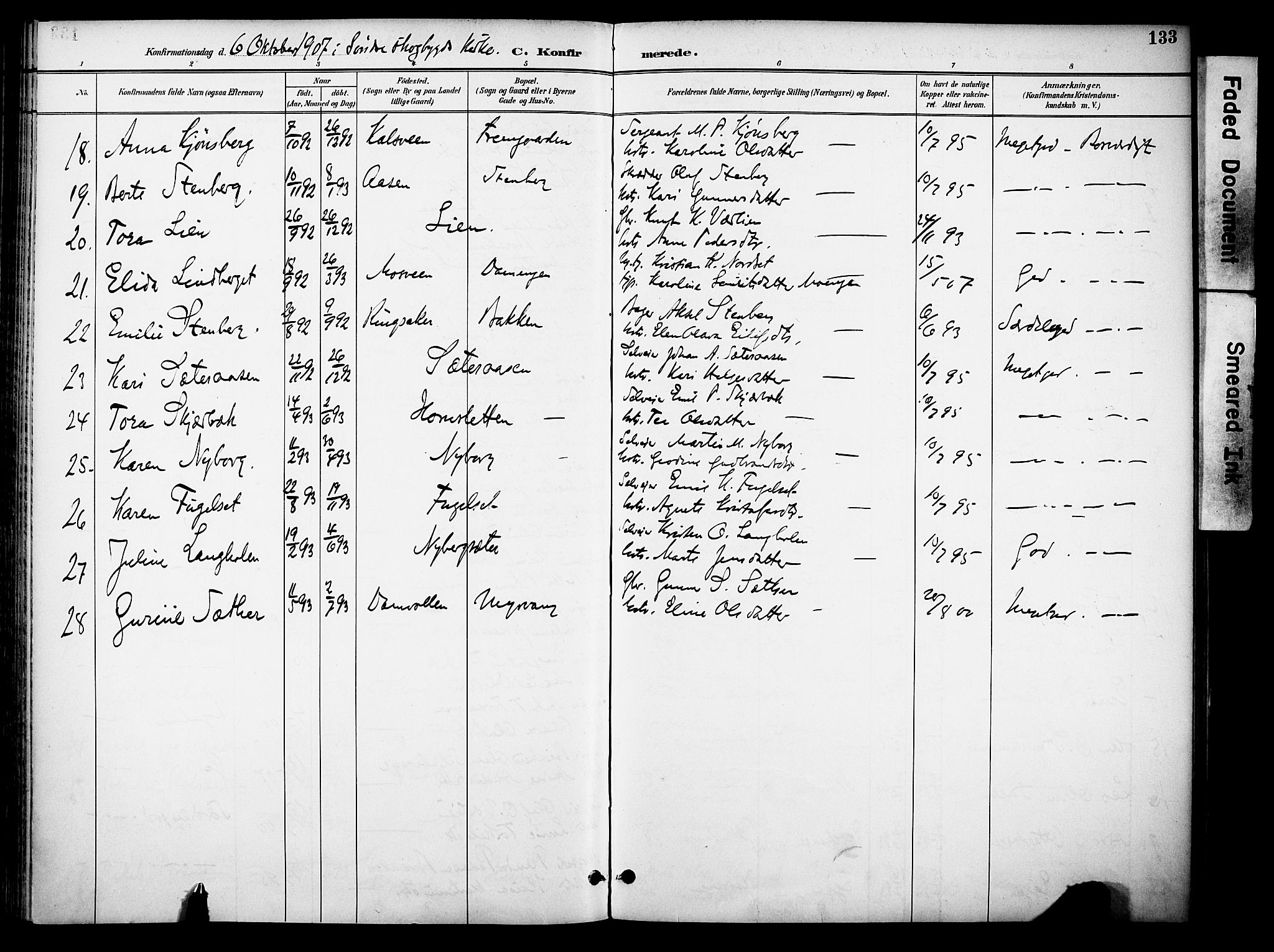 Elverum prestekontor, AV/SAH-PREST-044/H/Ha/Haa/L0015: Ministerialbok nr. 15, 1893-1913, s. 133