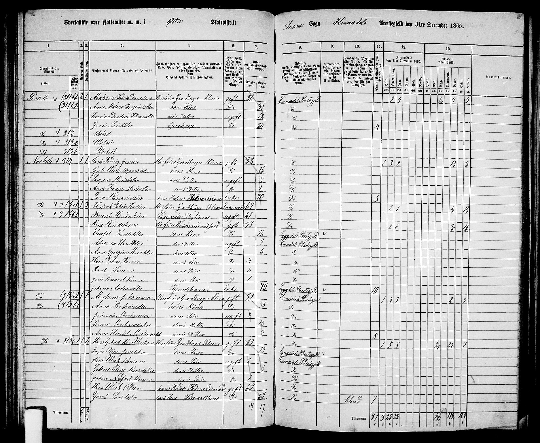 RA, Folketelling 1865 for 1037P Kvinesdal prestegjeld, 1865, s. 82