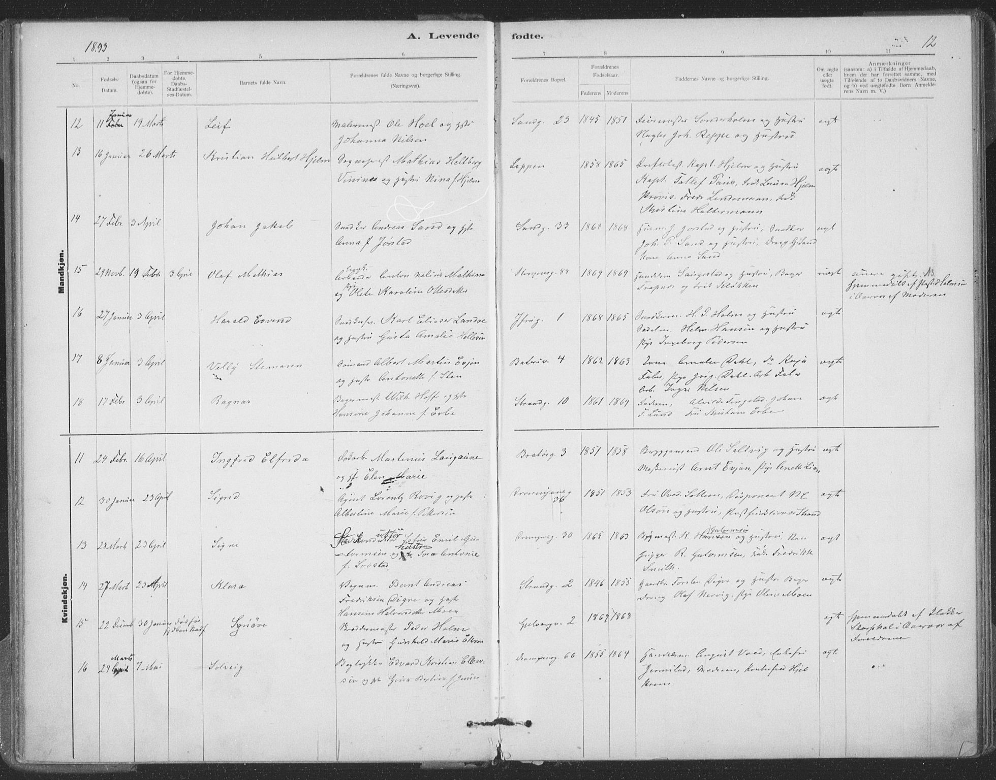 Ministerialprotokoller, klokkerbøker og fødselsregistre - Sør-Trøndelag, AV/SAT-A-1456/602/L0122: Ministerialbok nr. 602A20, 1892-1908, s. 12