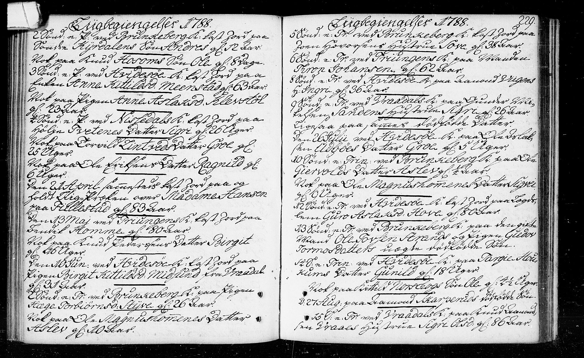 Kviteseid kirkebøker, SAKO/A-276/F/Fa/L0003: Ministerialbok nr. I 3, 1787-1799, s. 229