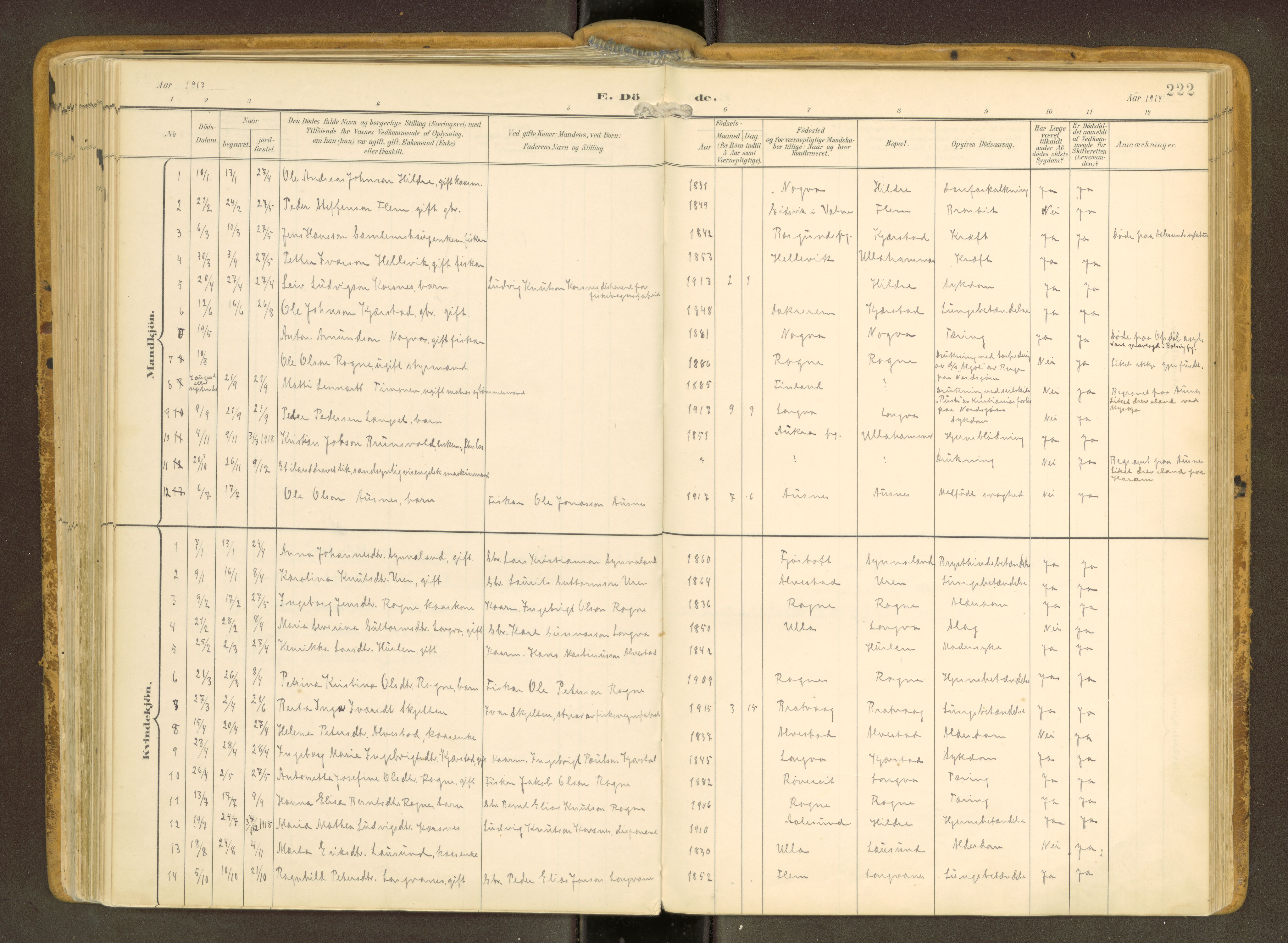 Ministerialprotokoller, klokkerbøker og fødselsregistre - Møre og Romsdal, AV/SAT-A-1454/536/L0517: Ministerialbok nr. 536A--, 1897-1917, s. 222