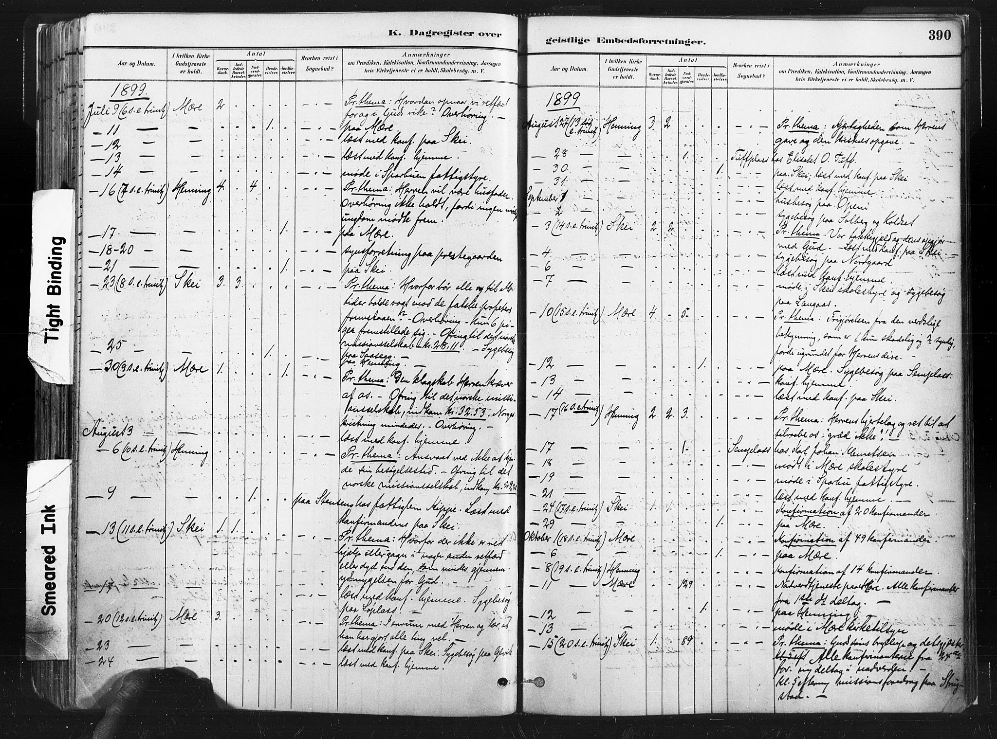 Ministerialprotokoller, klokkerbøker og fødselsregistre - Nord-Trøndelag, AV/SAT-A-1458/735/L0351: Ministerialbok nr. 735A10, 1884-1908, s. 390