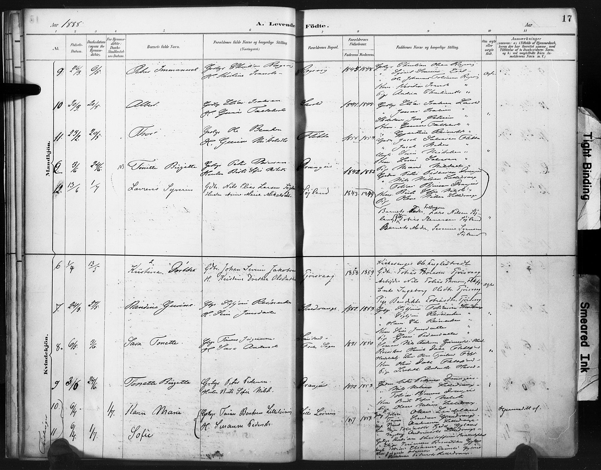Flekkefjord sokneprestkontor, AV/SAK-1111-0012/F/Fa/Fac/L0008: Ministerialbok nr. A 8, 1885-1898, s. 17