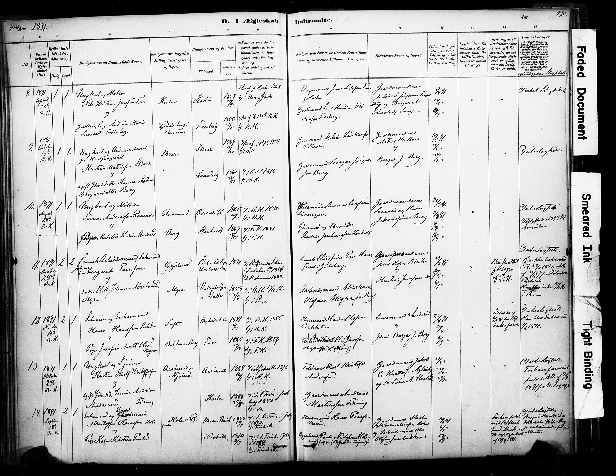 Ramnes kirkebøker, AV/SAKO-A-314/F/Fa/L0007: Ministerialbok nr. I 7, 1878-1895, s. 438-439