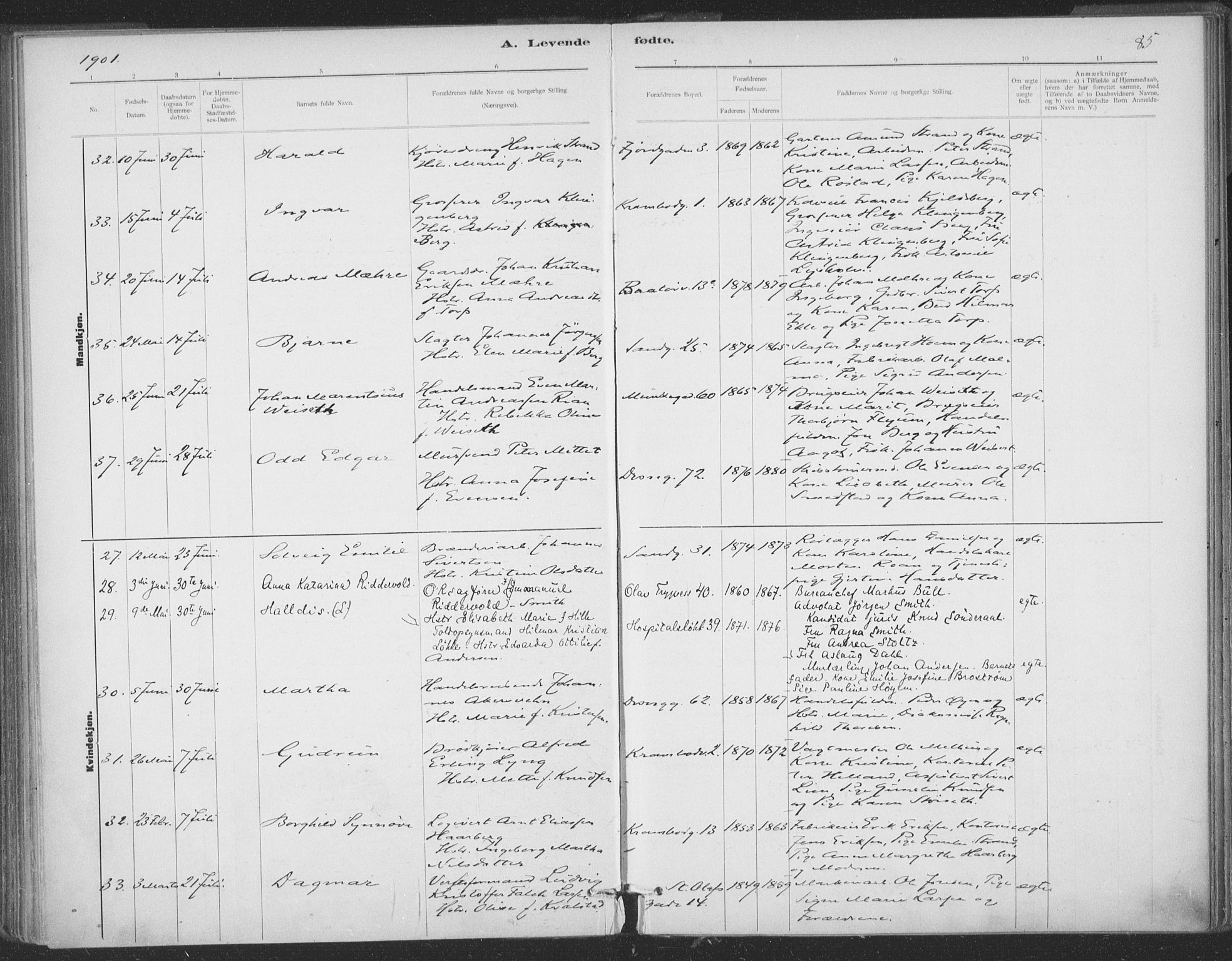 Ministerialprotokoller, klokkerbøker og fødselsregistre - Sør-Trøndelag, SAT/A-1456/602/L0122: Ministerialbok nr. 602A20, 1892-1908, s. 85