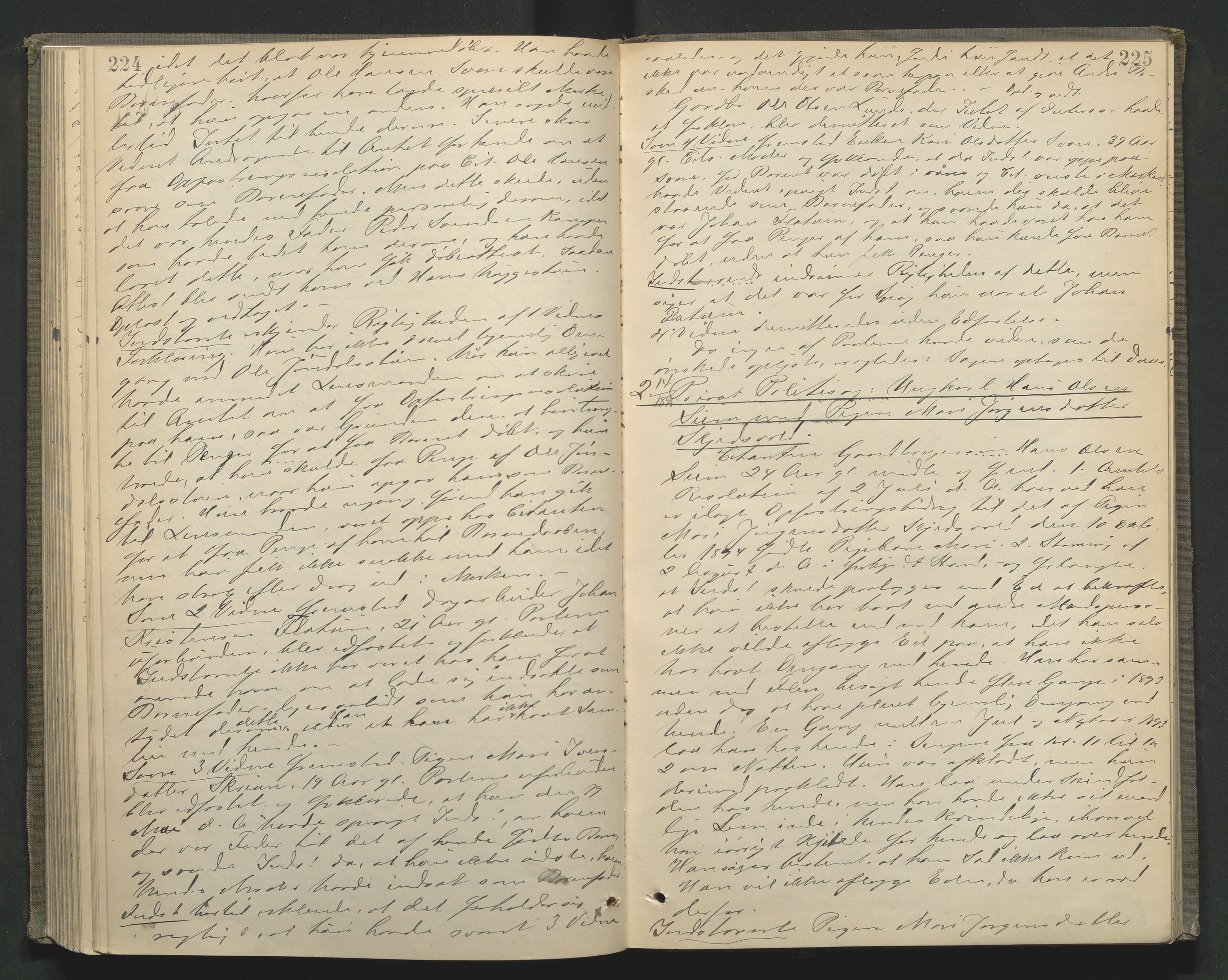 Nord-Gudbrandsdal tingrett, AV/SAH-TING-002/G/Gc/Gcb/L0005: Ekstrarettsprotokoll for åstedssaker, 1889-1900, s. 224-225