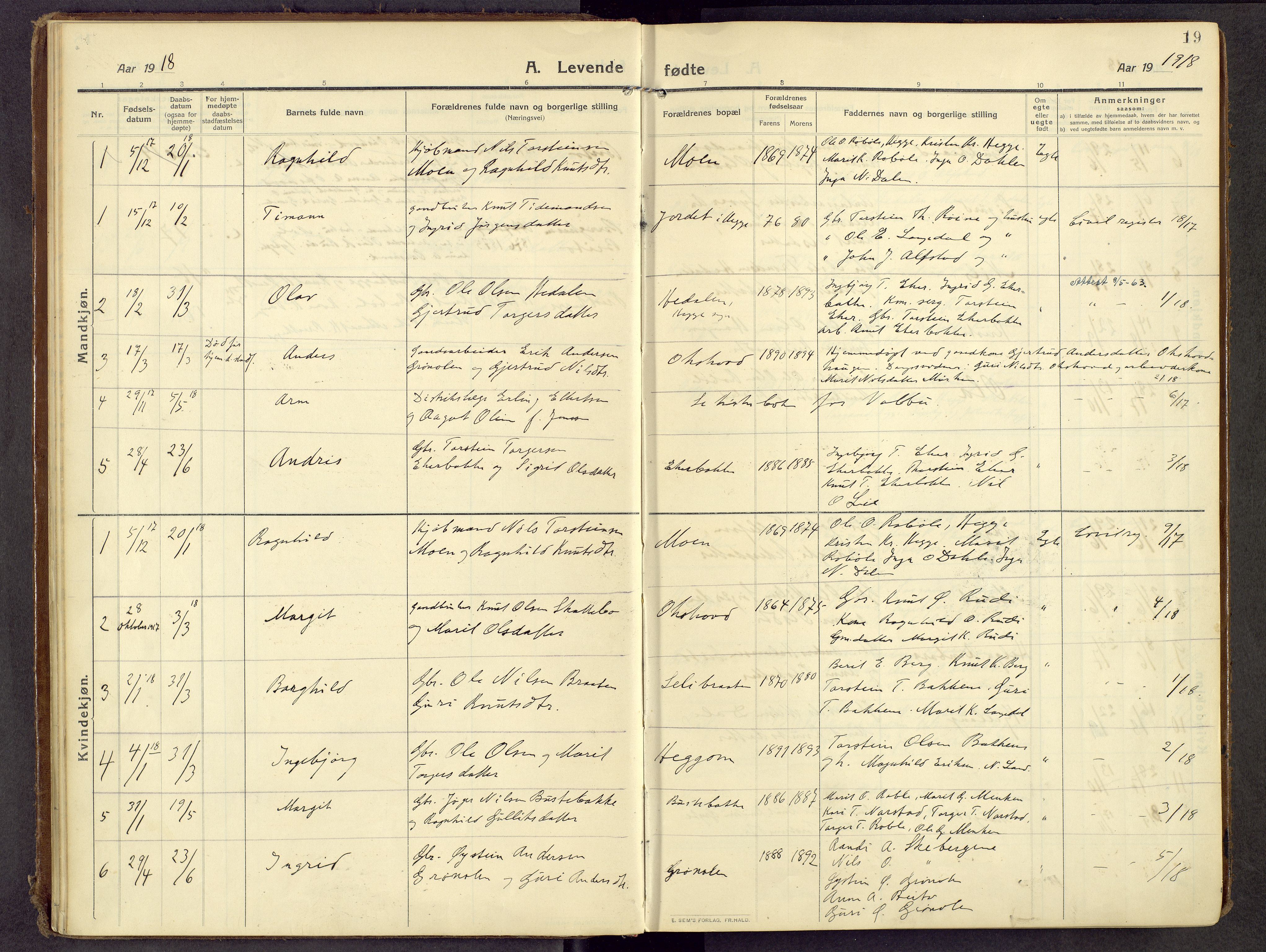 Øystre Slidre prestekontor, AV/SAH-PREST-138/H/Ha/Haa/L0007: Ministerialbok nr. 7, 1911-1931, s. 19