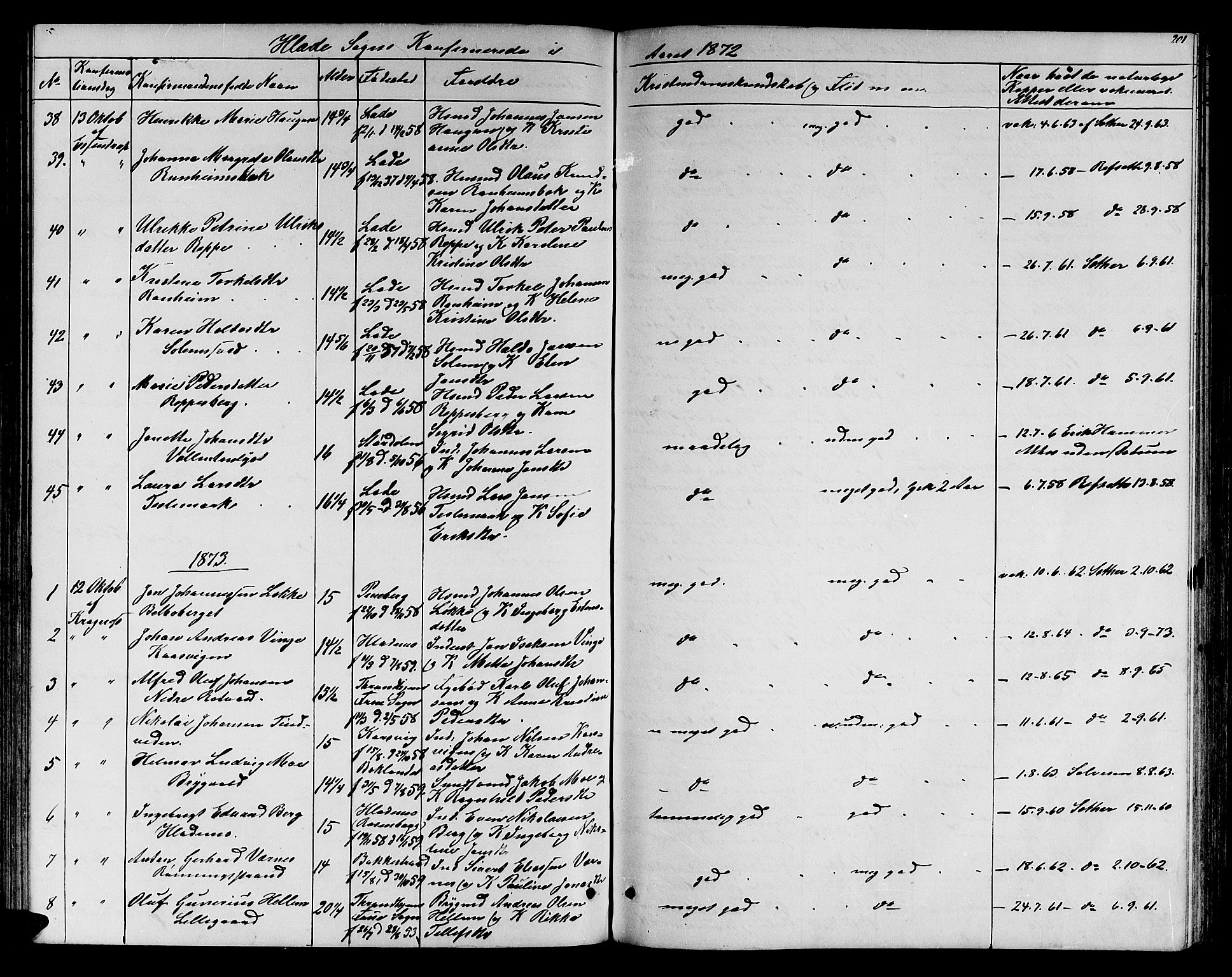 Ministerialprotokoller, klokkerbøker og fødselsregistre - Sør-Trøndelag, SAT/A-1456/606/L0311: Klokkerbok nr. 606C07, 1860-1877, s. 201