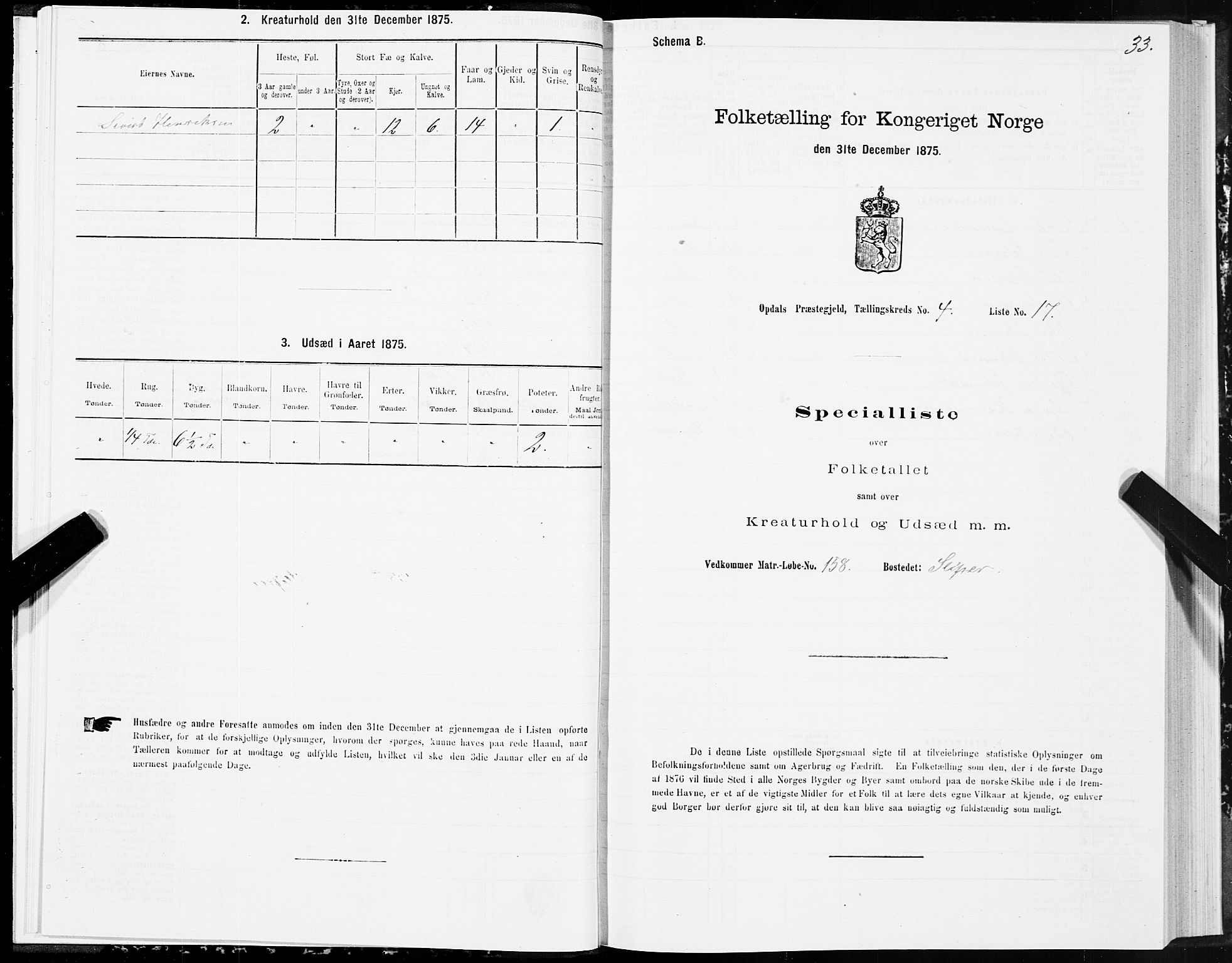 SAT, Folketelling 1875 for 1634P Oppdal prestegjeld, 1875, s. 3033