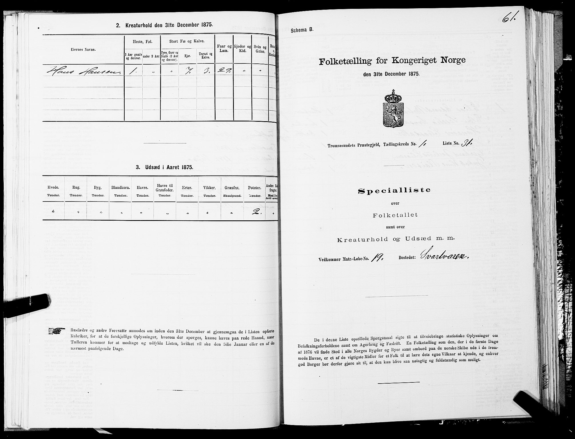 SATØ, Folketelling 1875 for 1934P Tromsøysund prestegjeld, 1875, s. 1061