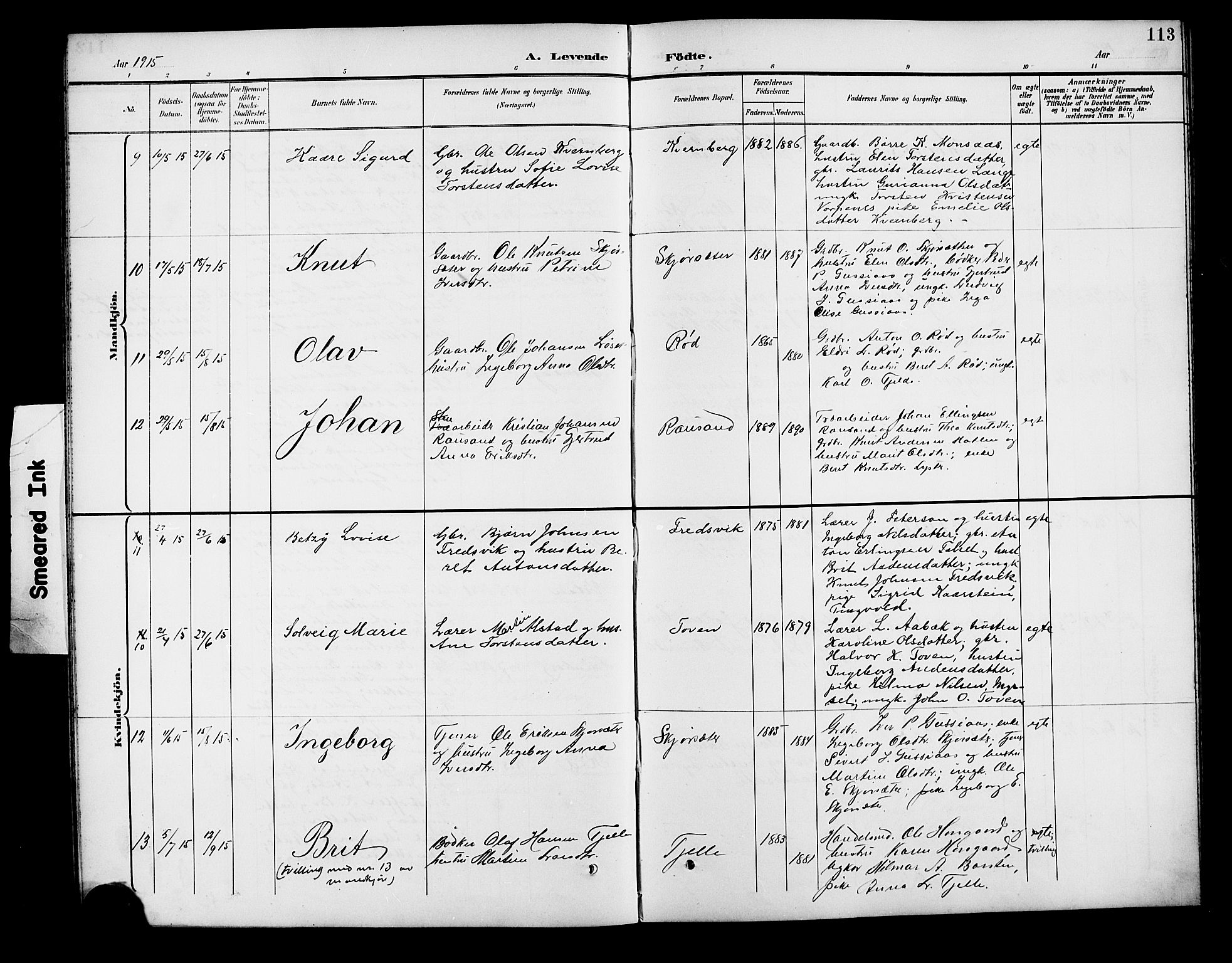 Ministerialprotokoller, klokkerbøker og fødselsregistre - Møre og Romsdal, AV/SAT-A-1454/551/L0632: Klokkerbok nr. 551C04, 1894-1920, s. 113