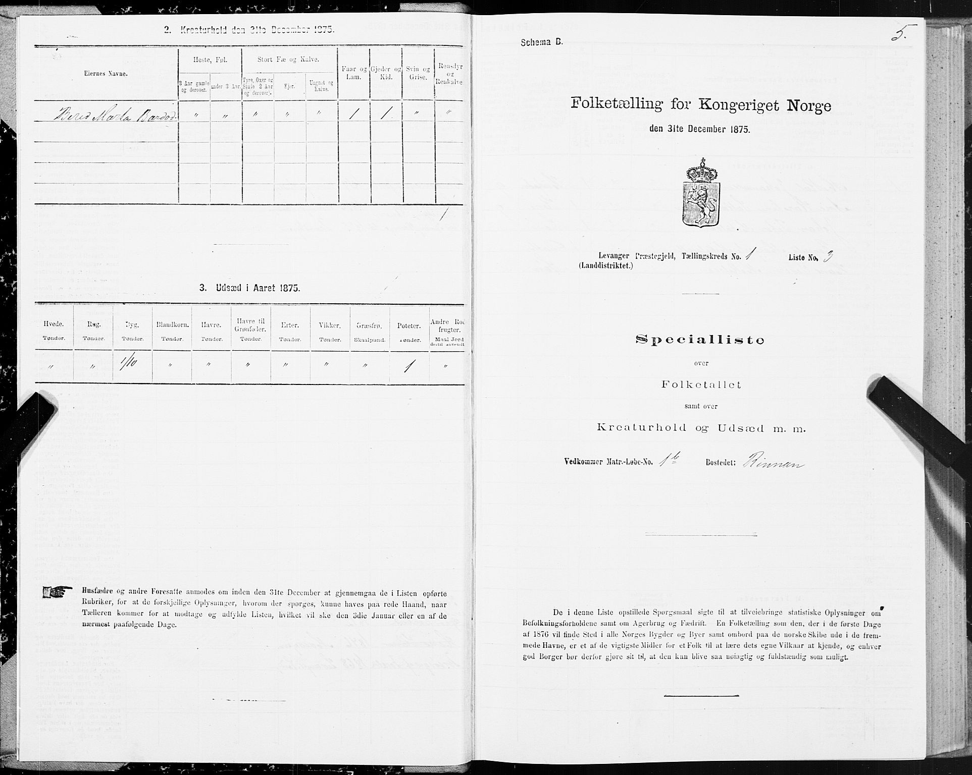 SAT, Folketelling 1875 for 1720L Levanger prestegjeld, Levanger landsokn, 1875, s. 1005